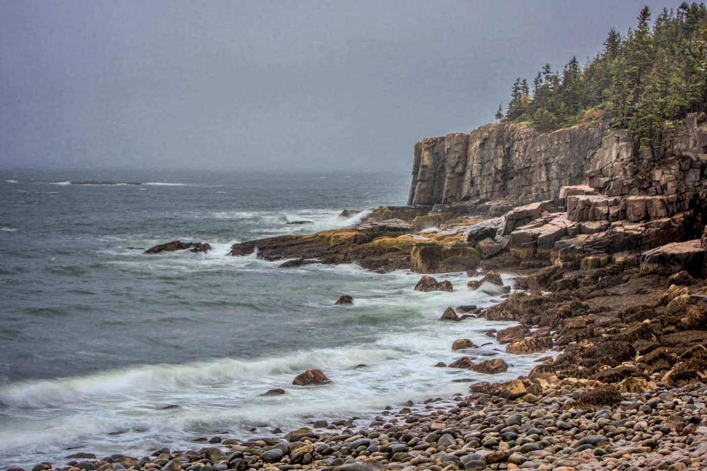 DSC_4016-Edit.JPG