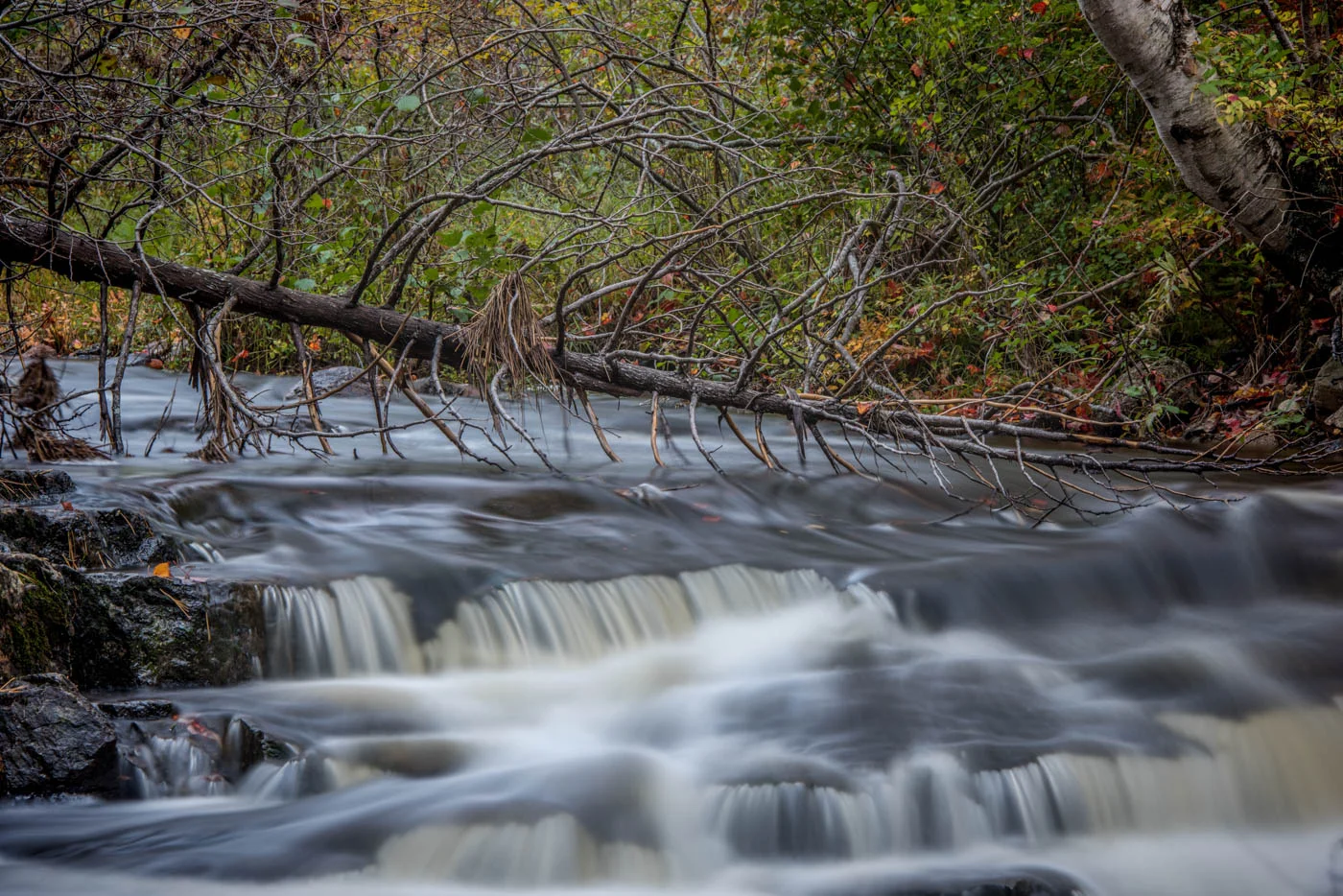 DSC_4260-Edit.JPG