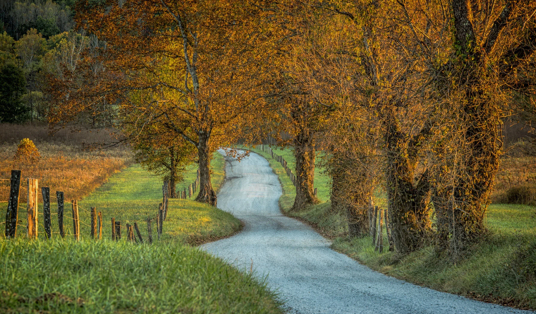 DSC_6309-Edit.JPG