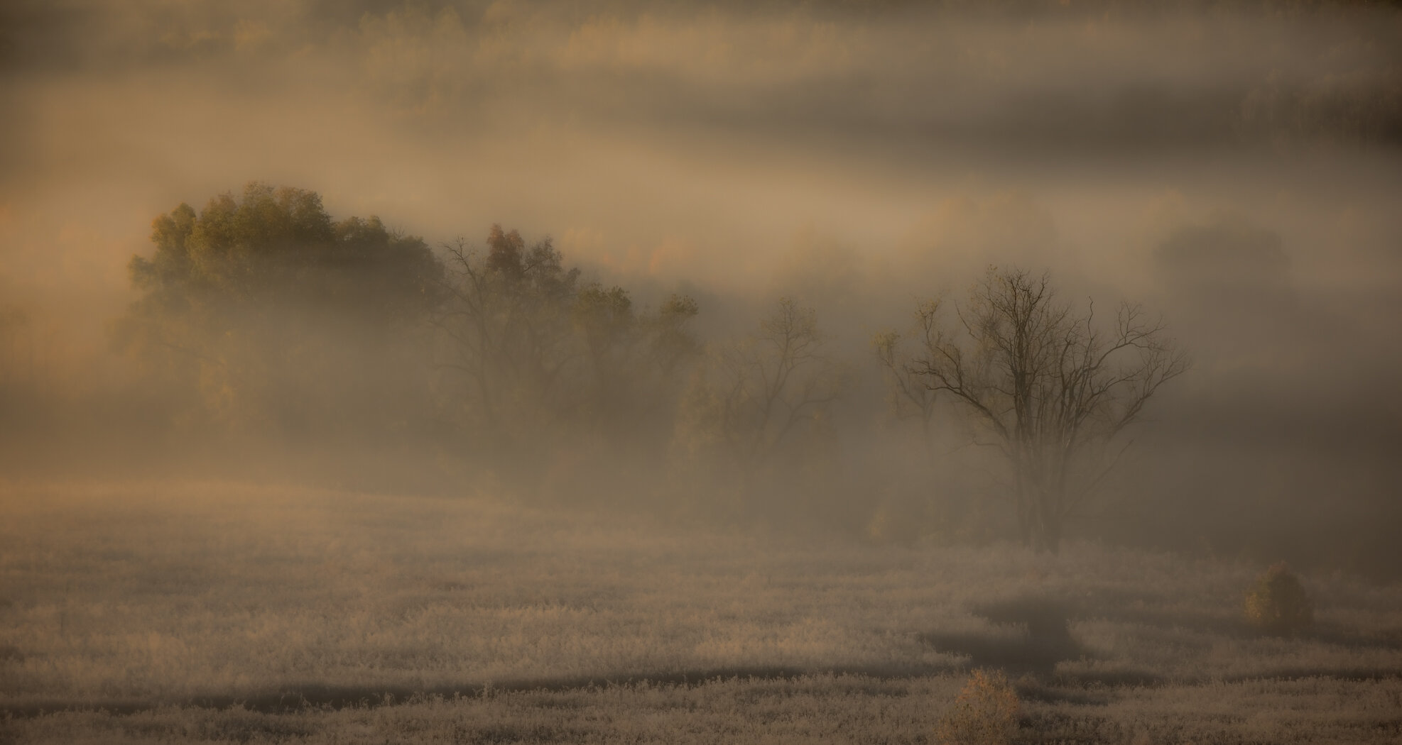 DSC_6323-Edit.JPG