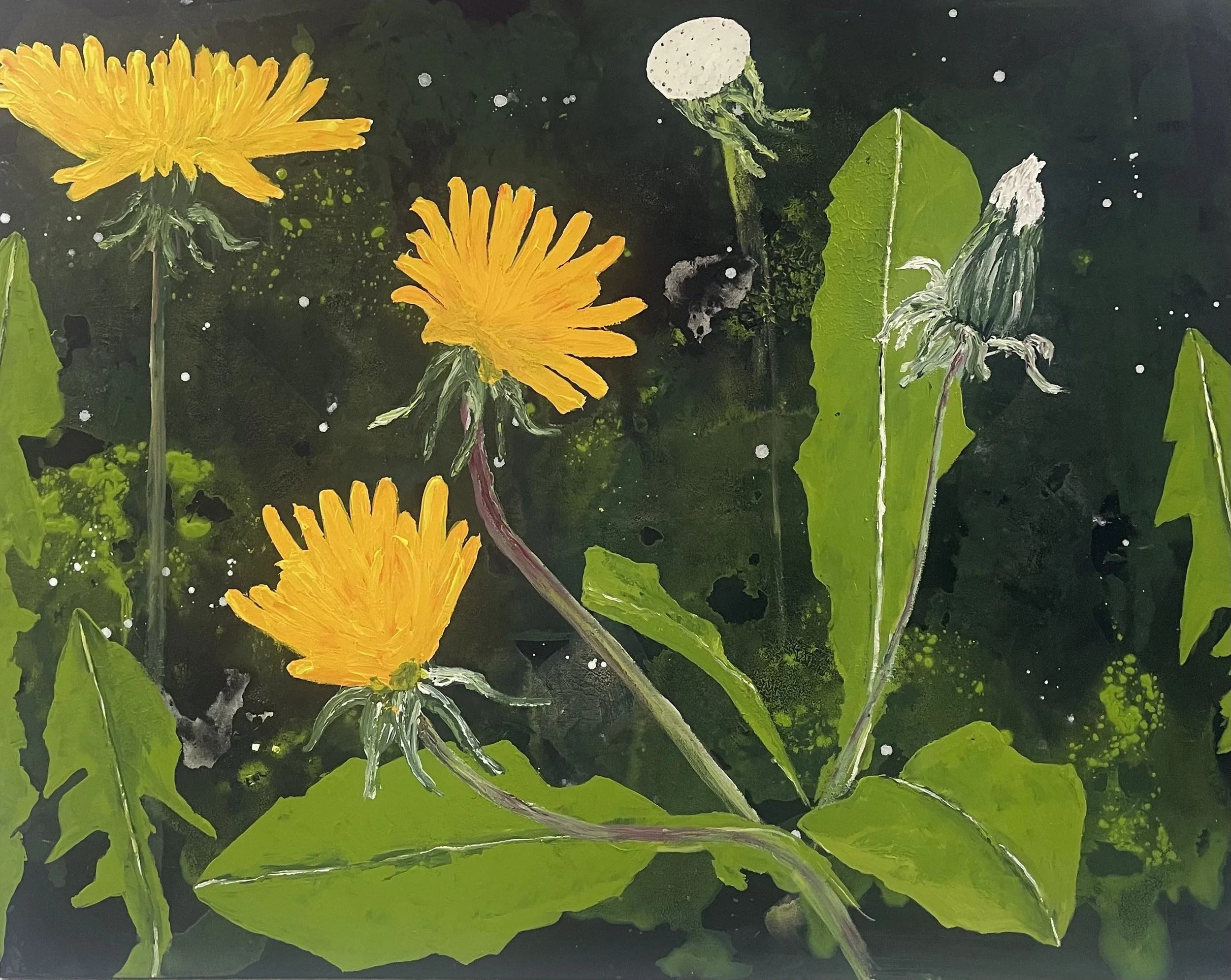 No 00 Mælkebøtter 80x100 cm 6.200 kr