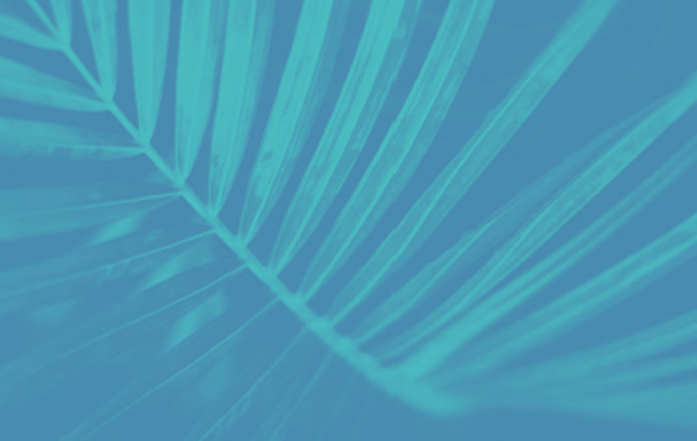 bg-leaf.jpg
