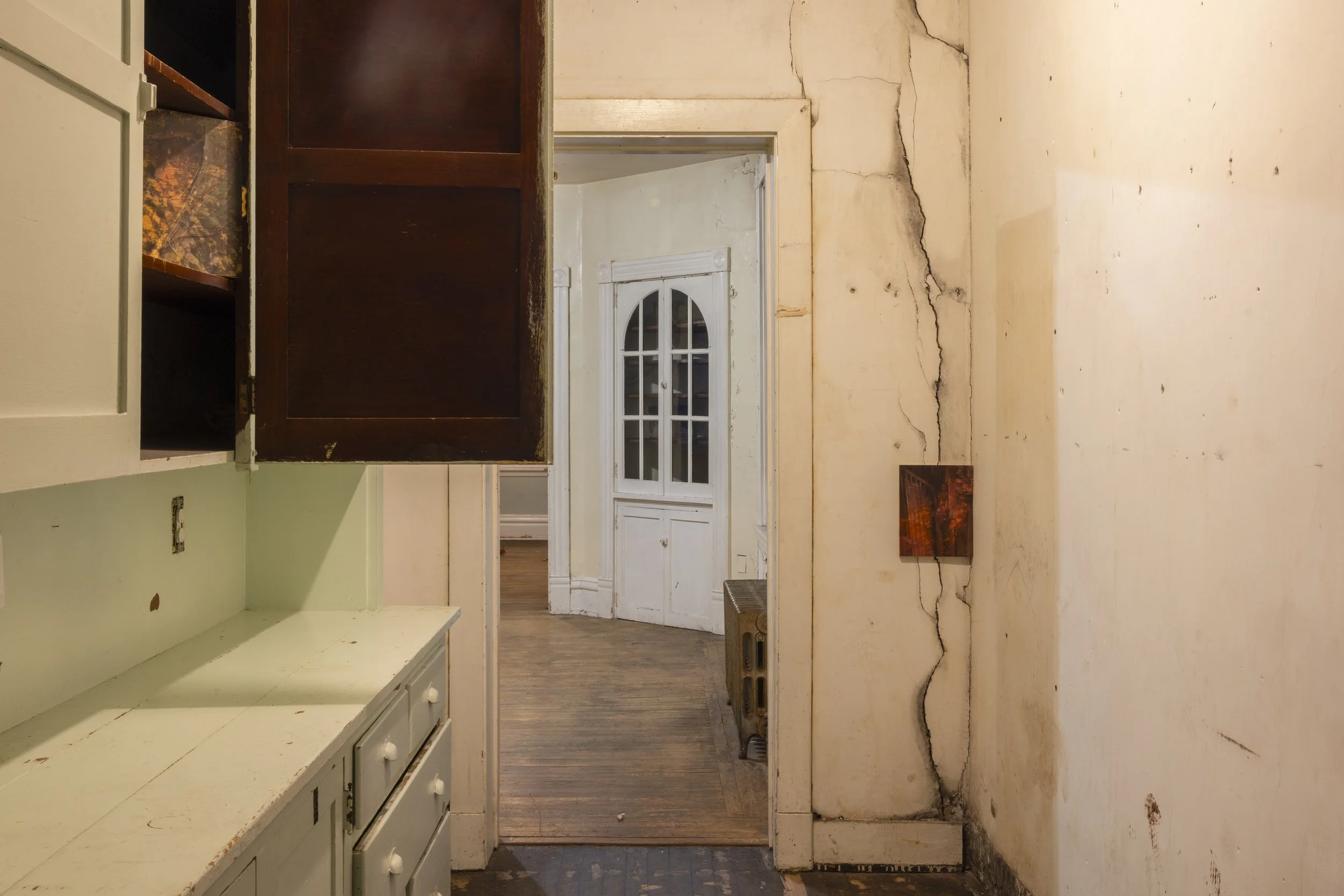 AlliLemon-FinchOnAPowerline-Install-65.jpg