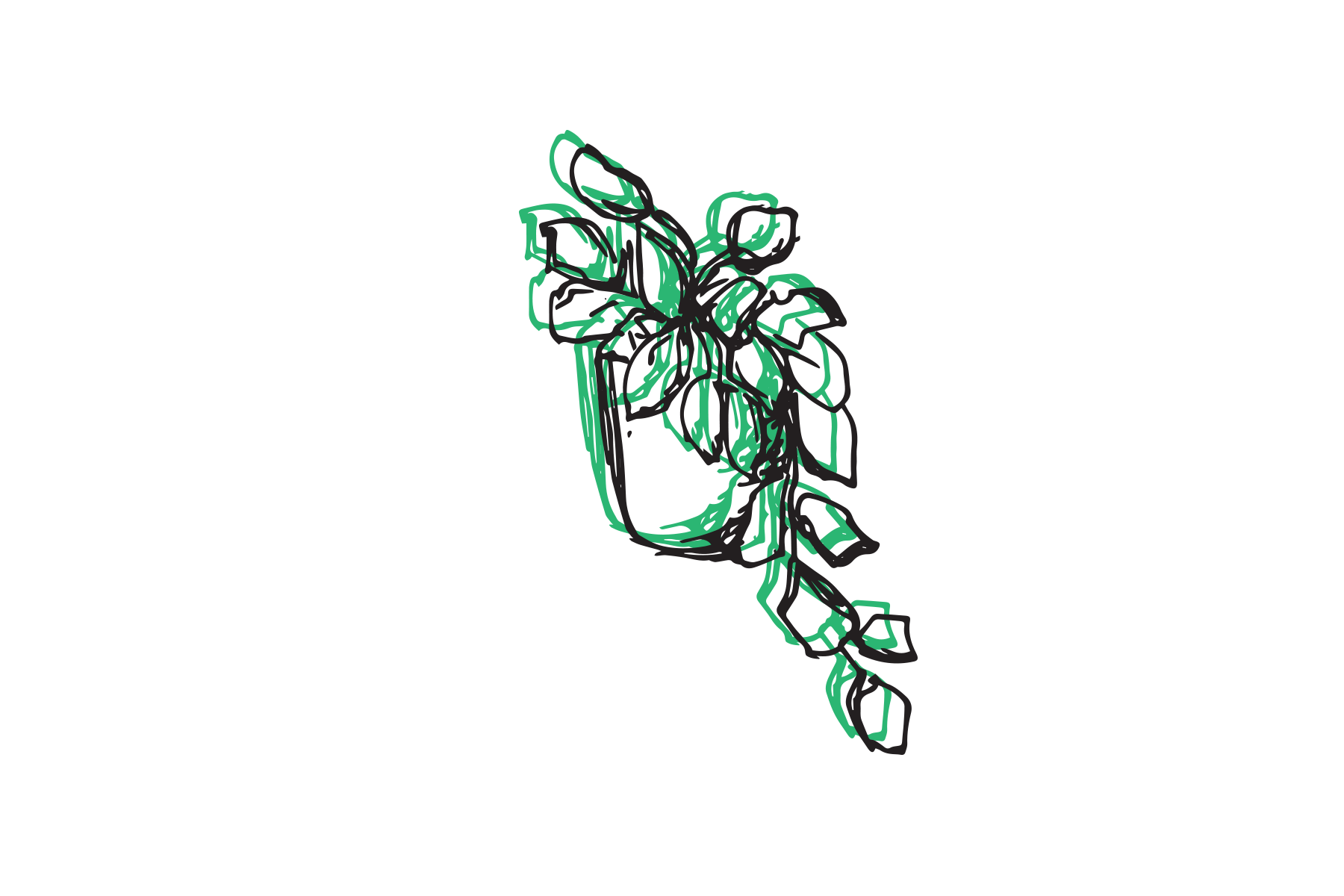devils ivy.png