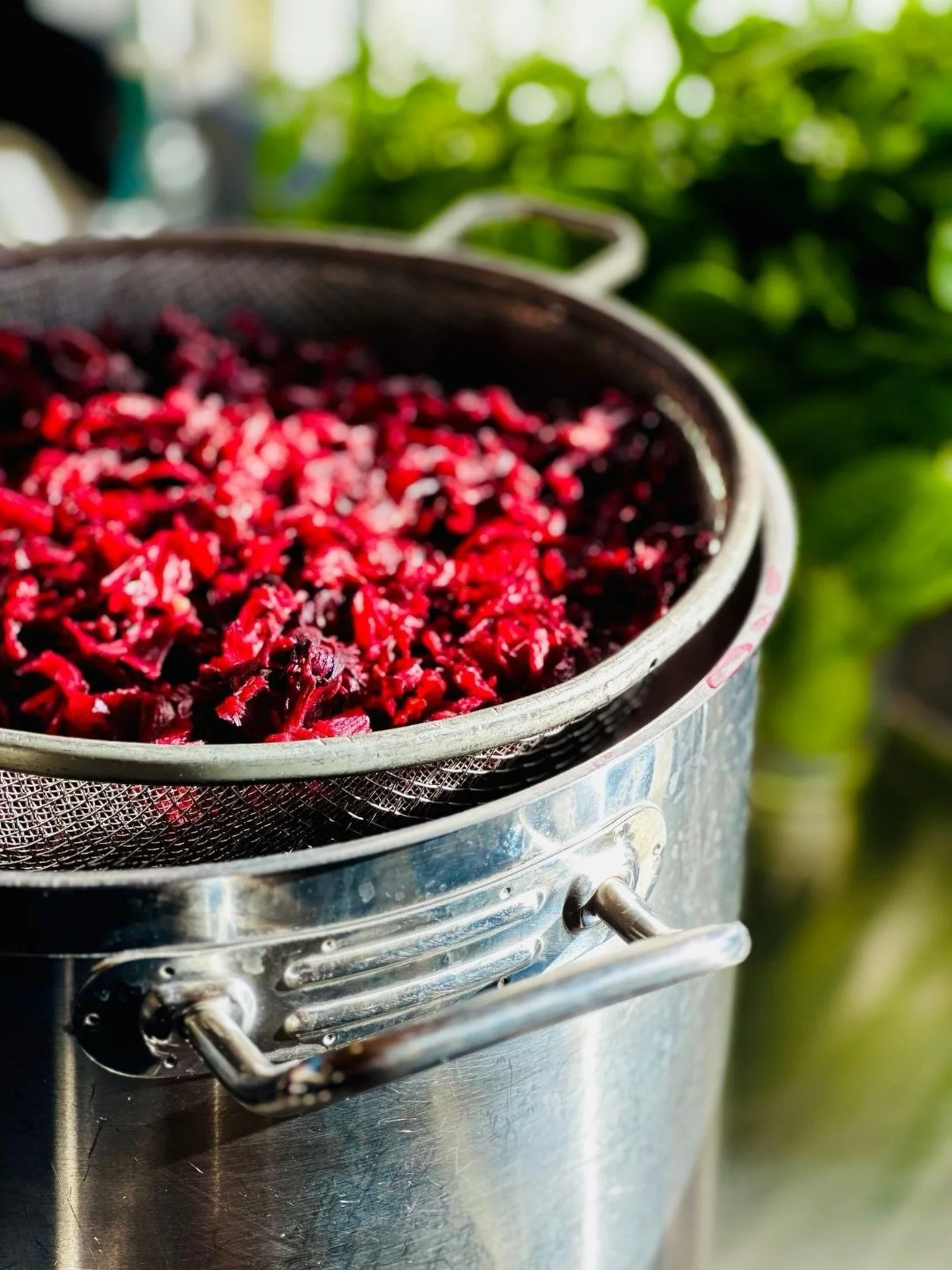 Most &ldquo;fruit juice&rdquo; starts in a lab with a list of stabilizers and a two-year shelf life.

At Coldwater, our Jamaica starts with a crate of dried hibiscus flowers and a boiling pot.

 🌺 crimson that doesn&rsquo;t come from a bottle of dye