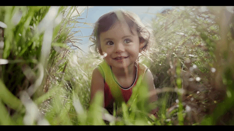 Animated GIF-source.gif