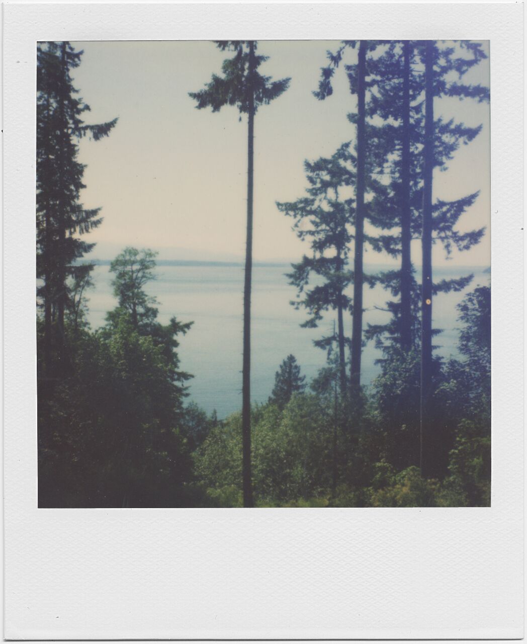 MINDCASTLE_Polaroid_075_preview.jpeg