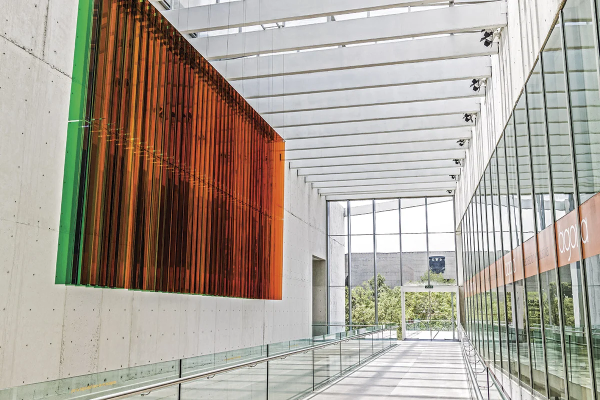 museo-universitario-de-arte-contemporaneo.jpg
