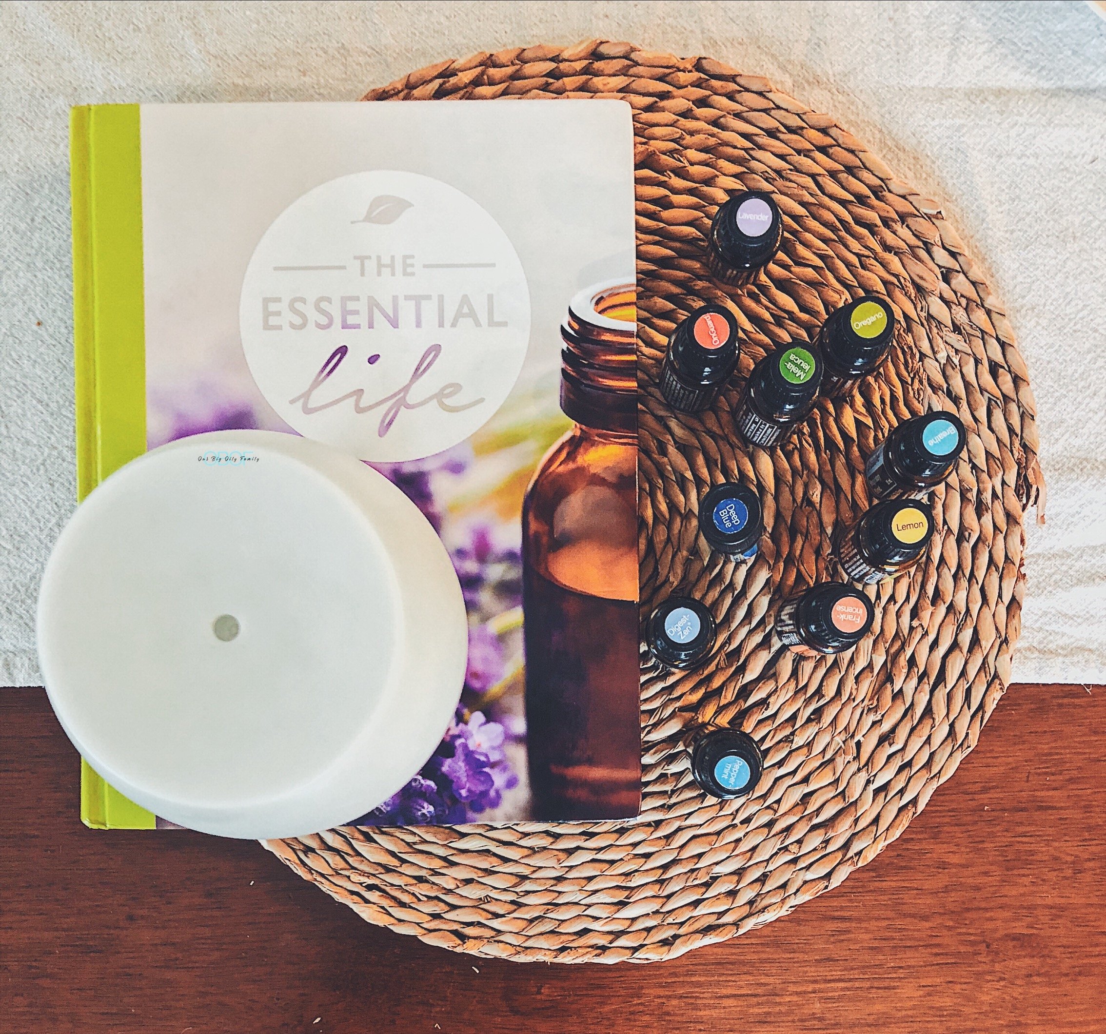 Top 10 Diffuser Book doTERRA essential oil_Meredith Ewenson-55355.jpg