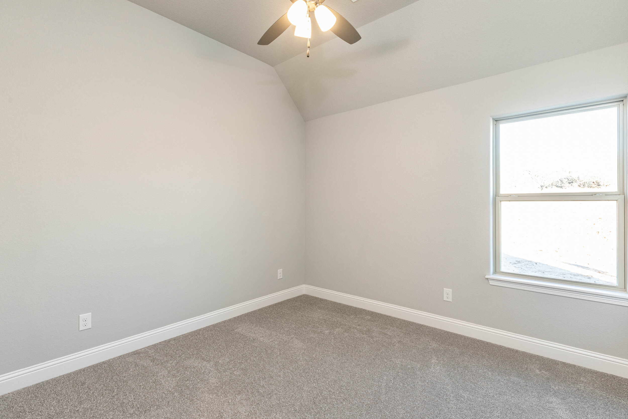 141SaddleTree5.jpg