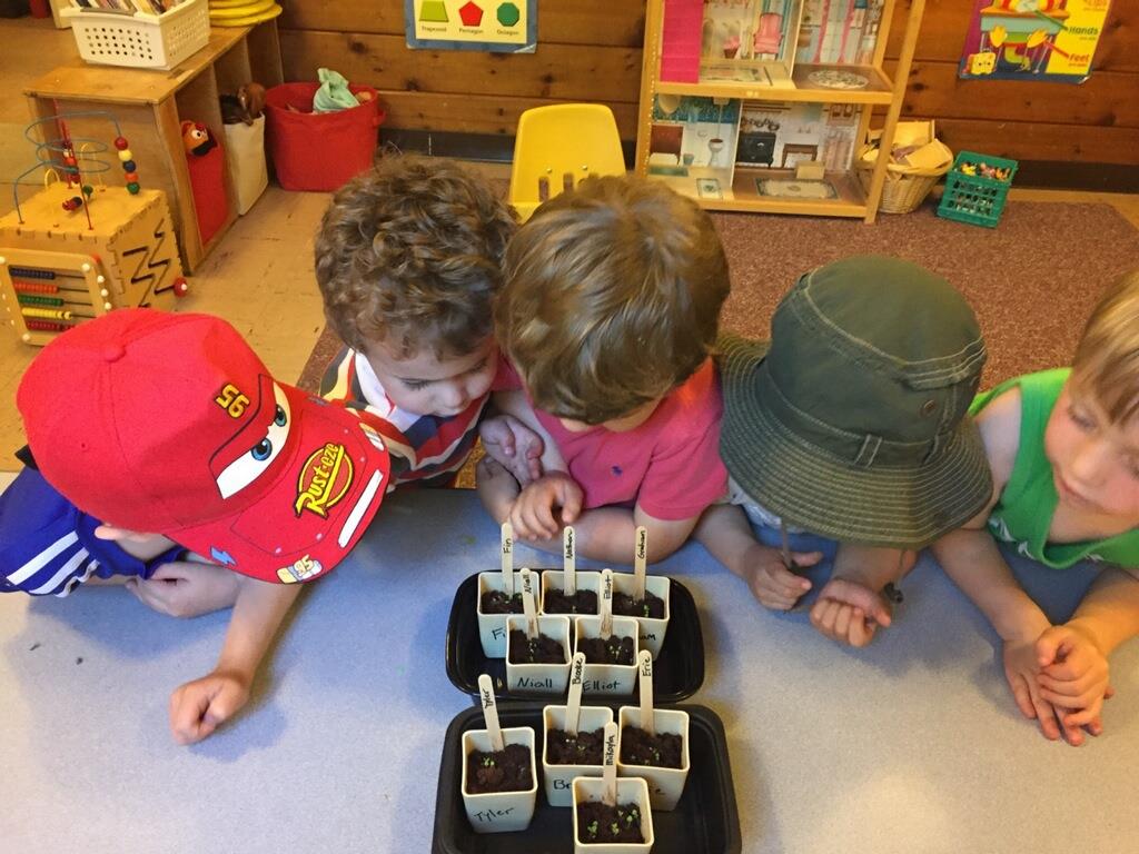 READY SET GROW 2.jpg