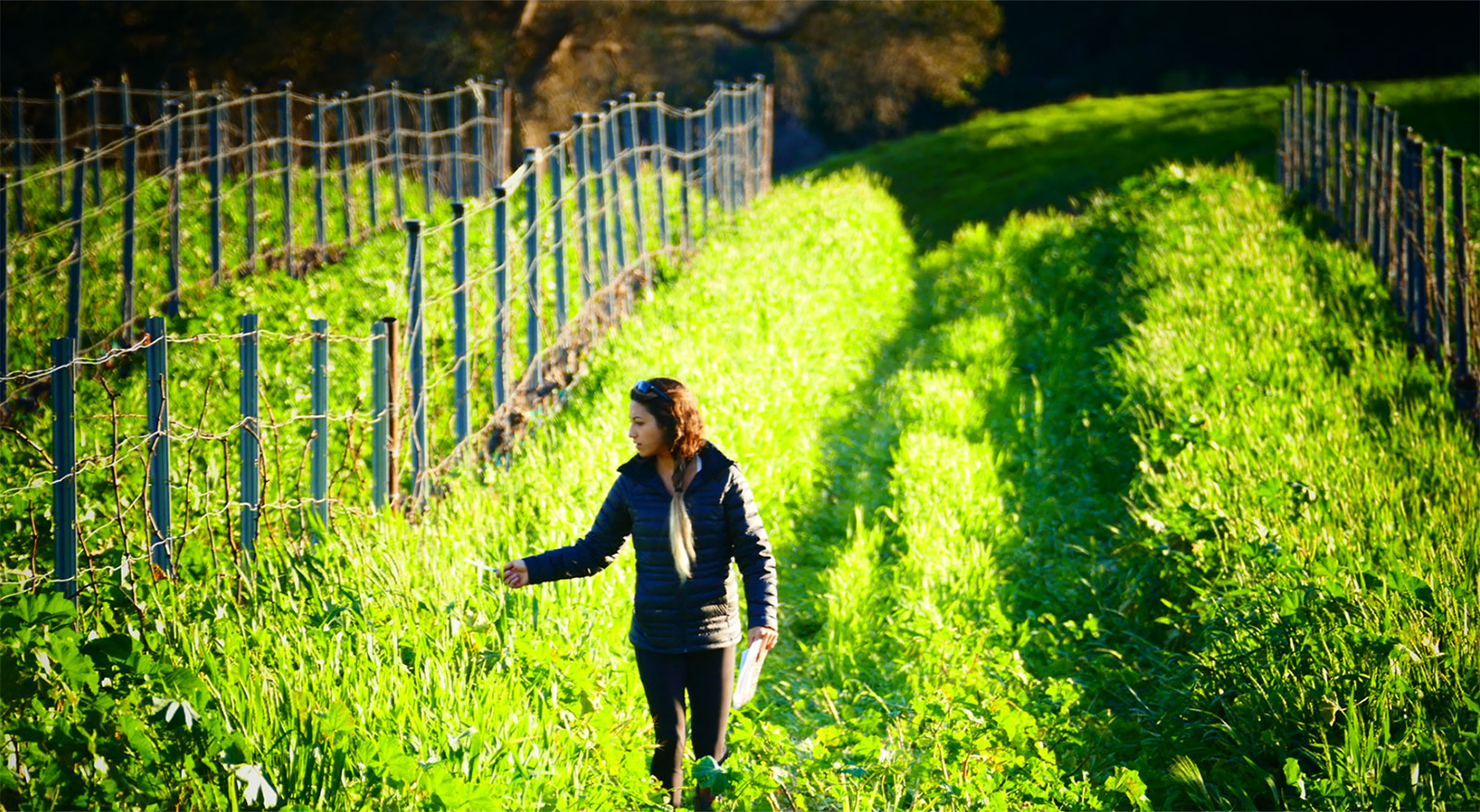 jeanette-ortiz-winemaker.jpg