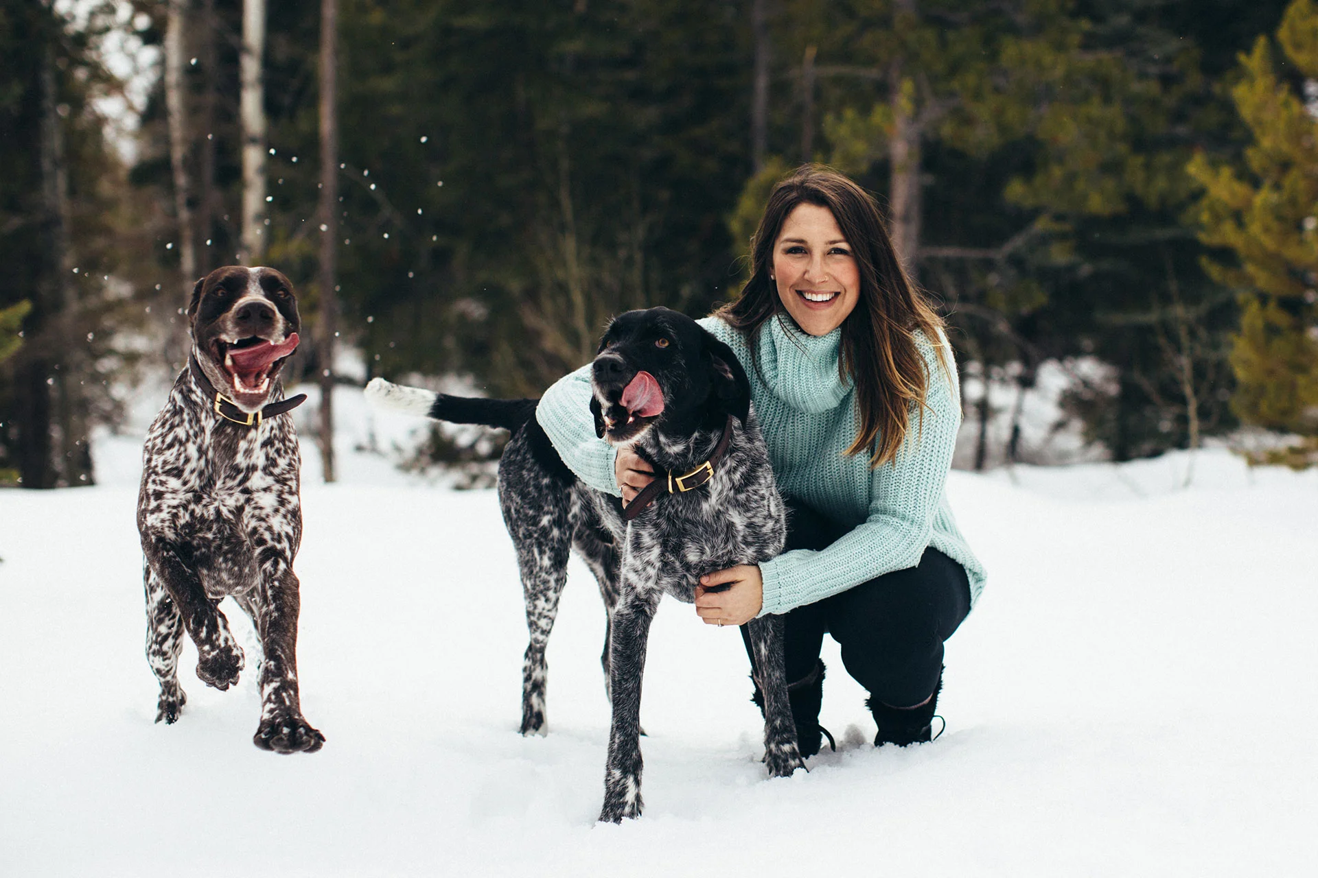 jen_hudak_dogs.jpg