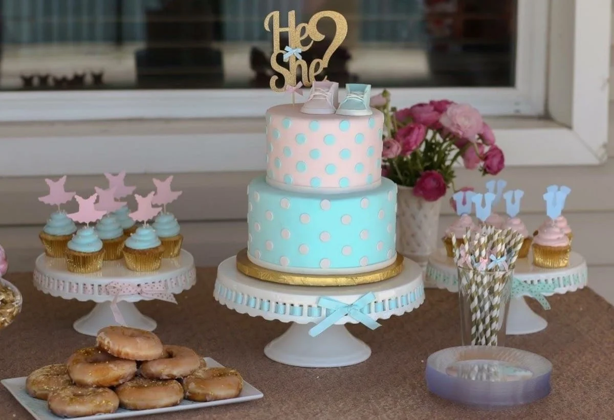 he-or-she-gender-reveal---life-long-studios-09-43-33-066-io.jpg