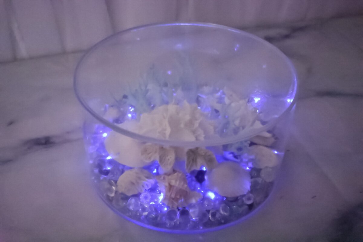 Round Clear Box with Shells 4.jpg