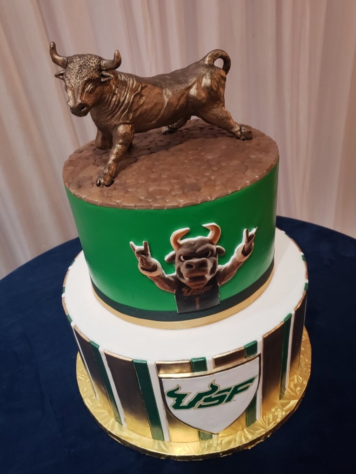 USF Chocolate Bull.jpg