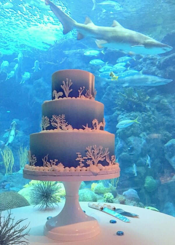 Aquarium Ombre  Buttercream.jpg