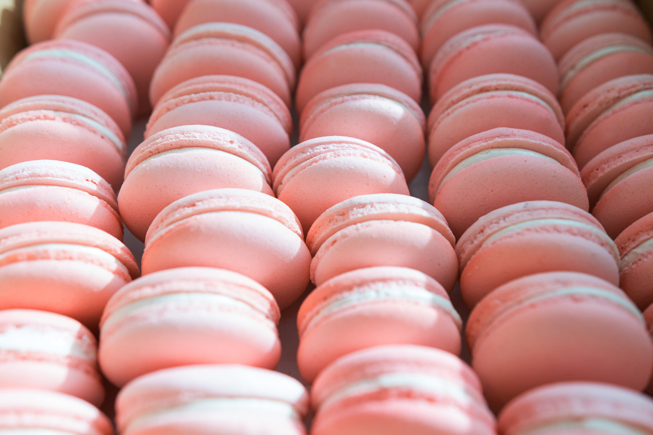 Pink Macarons - Carrie Wildes Photography.jpg