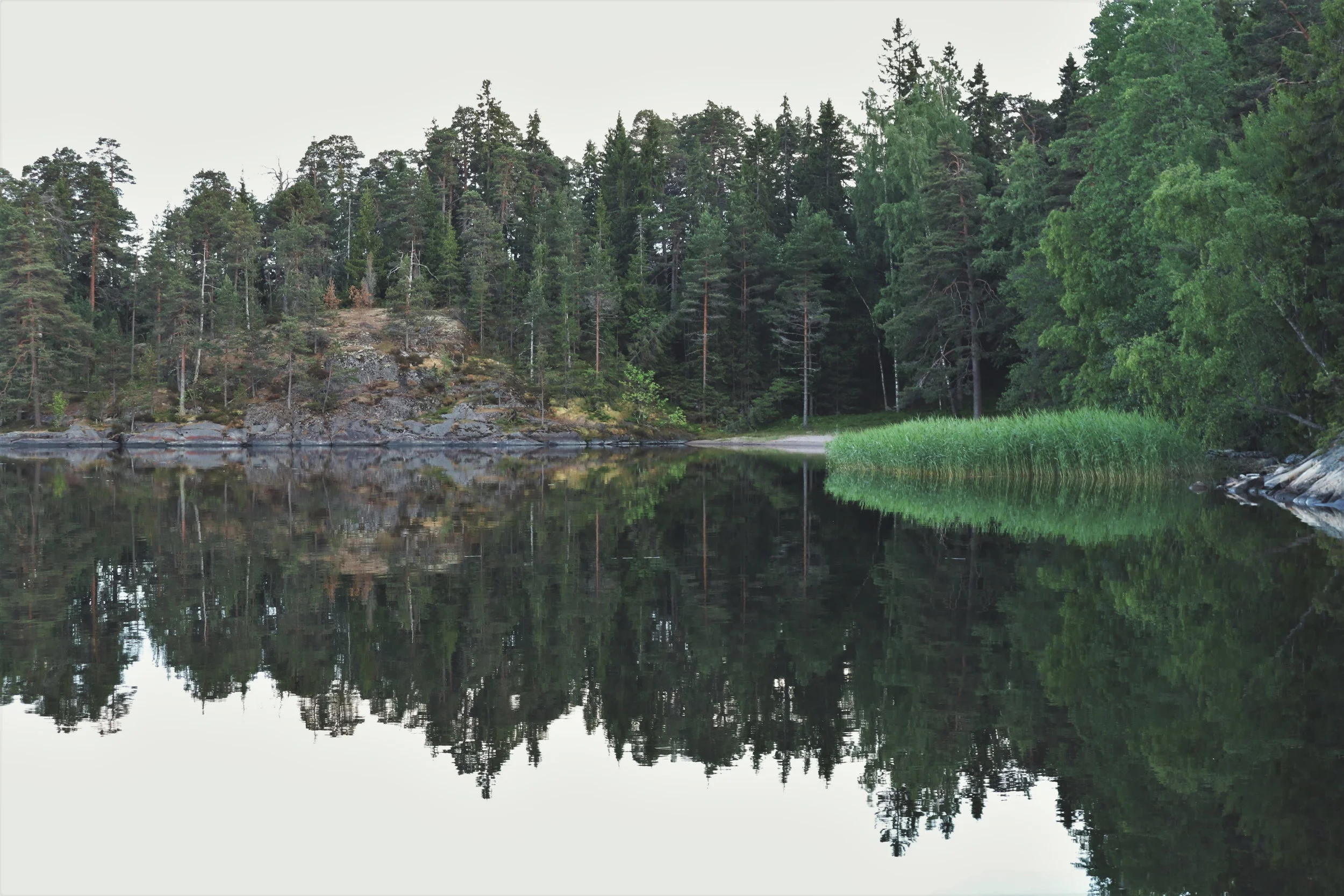finnish_summer.jpg