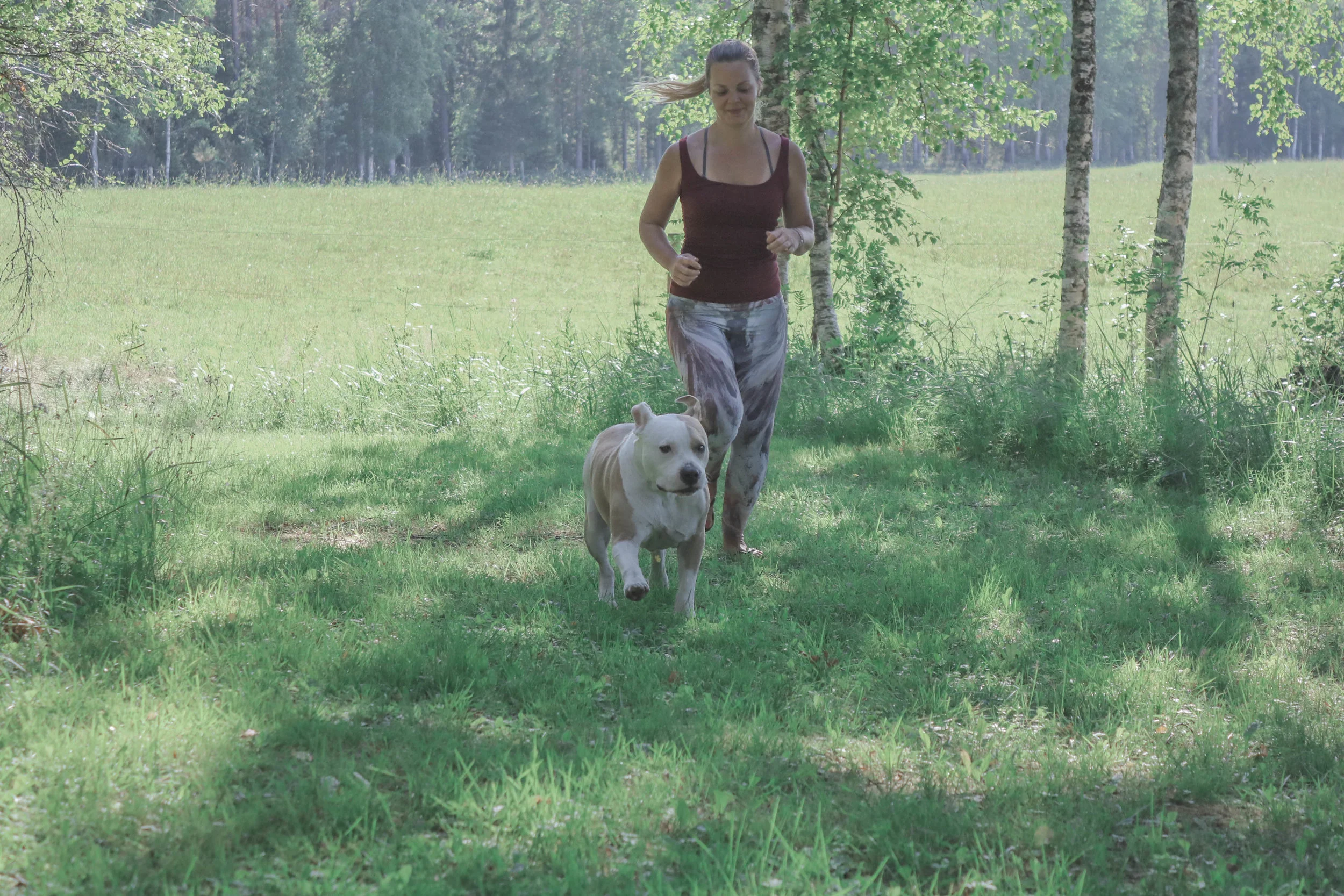 country_life.jpg