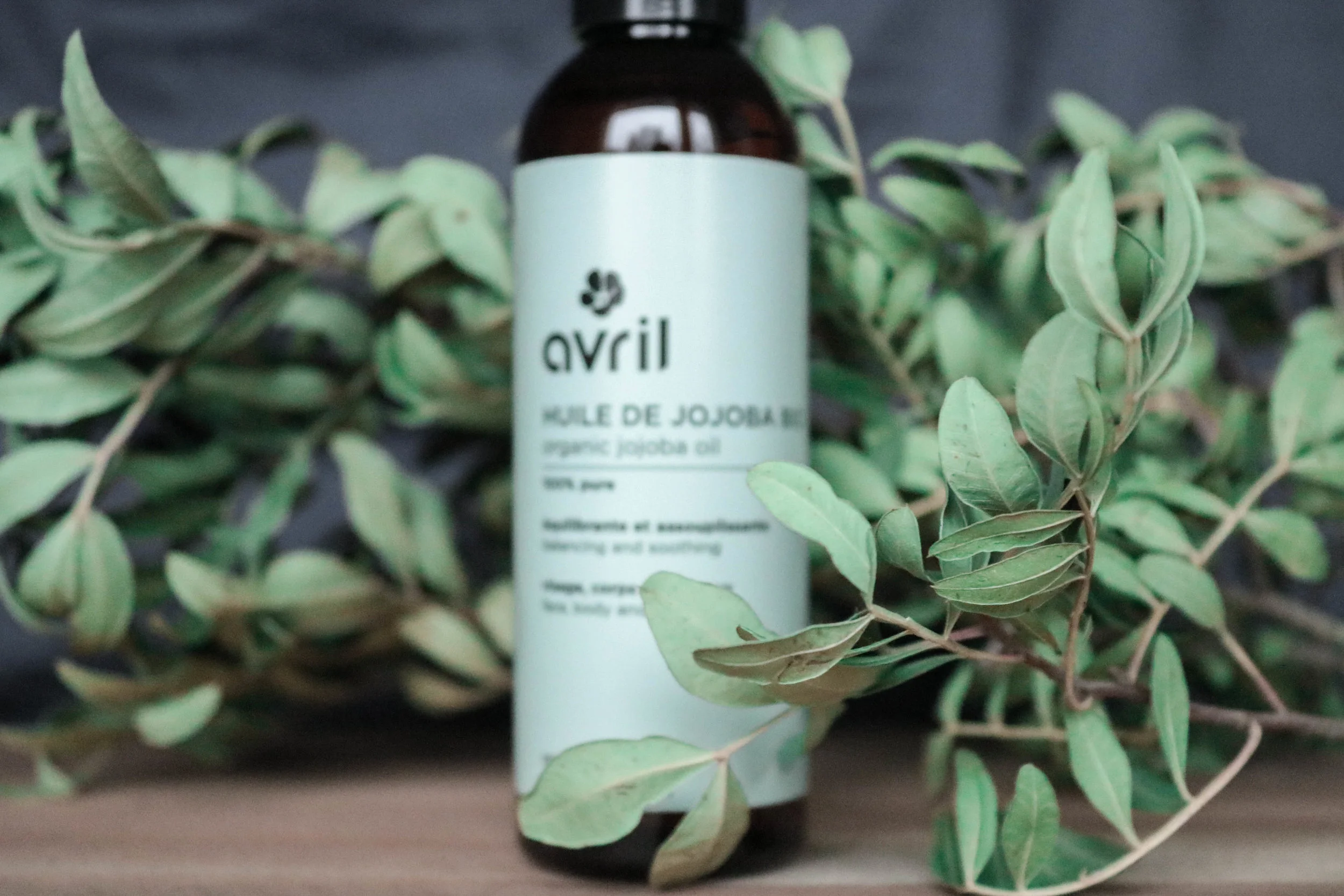 jojoba.jpg