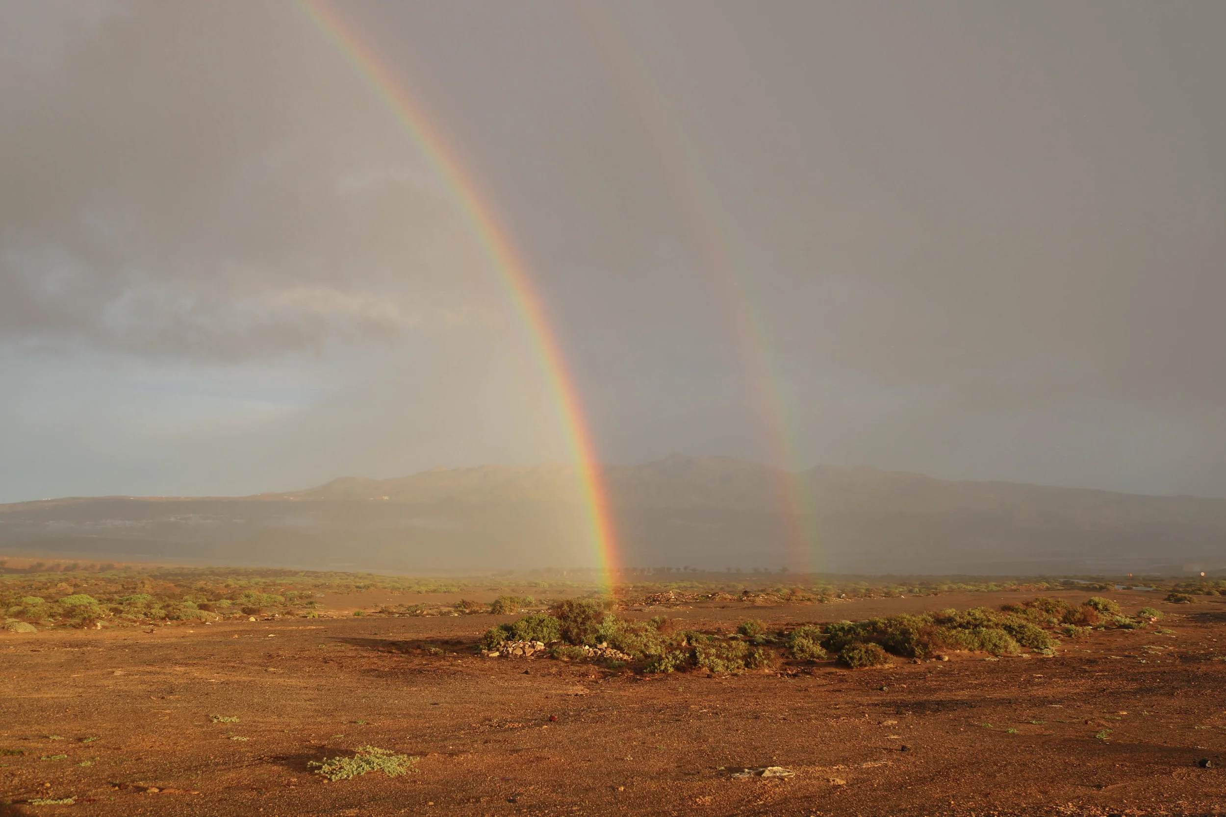 rainbow.jpg