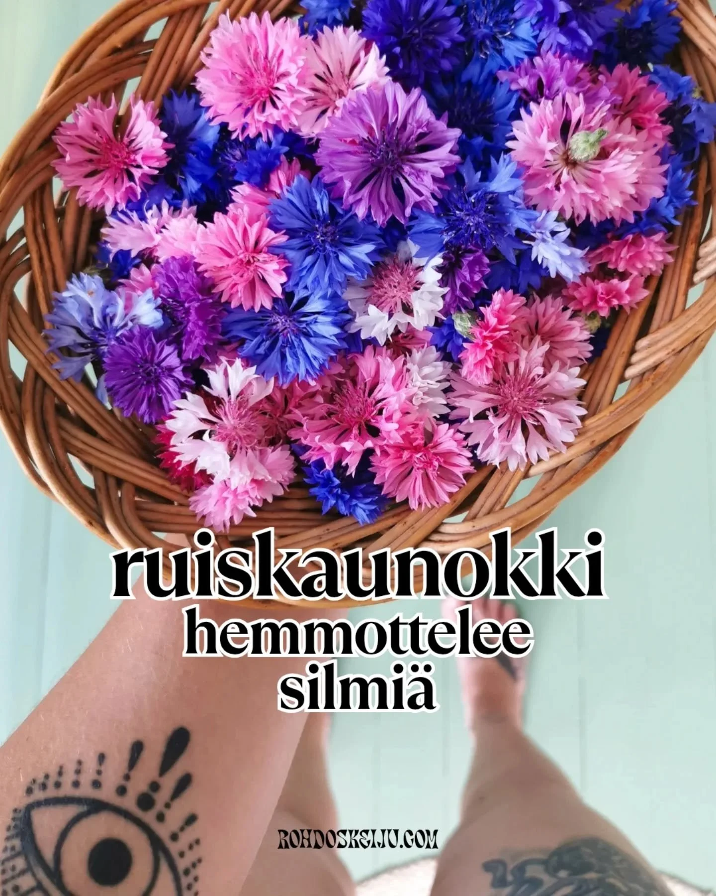 Ehk&auml; tunnetuinta Ruiskaunokin (Centaurea cyanus) k&auml;ytt&ouml; on erilaisiin silmien oireisiin. Kannattaakin k&auml;&auml;nty&auml; ruiskaunokin puoleen jos esimerkiksi silm&auml;tulehdus vaivaa, tai silm&auml;t on v&auml;syneet ja/tai &auml;