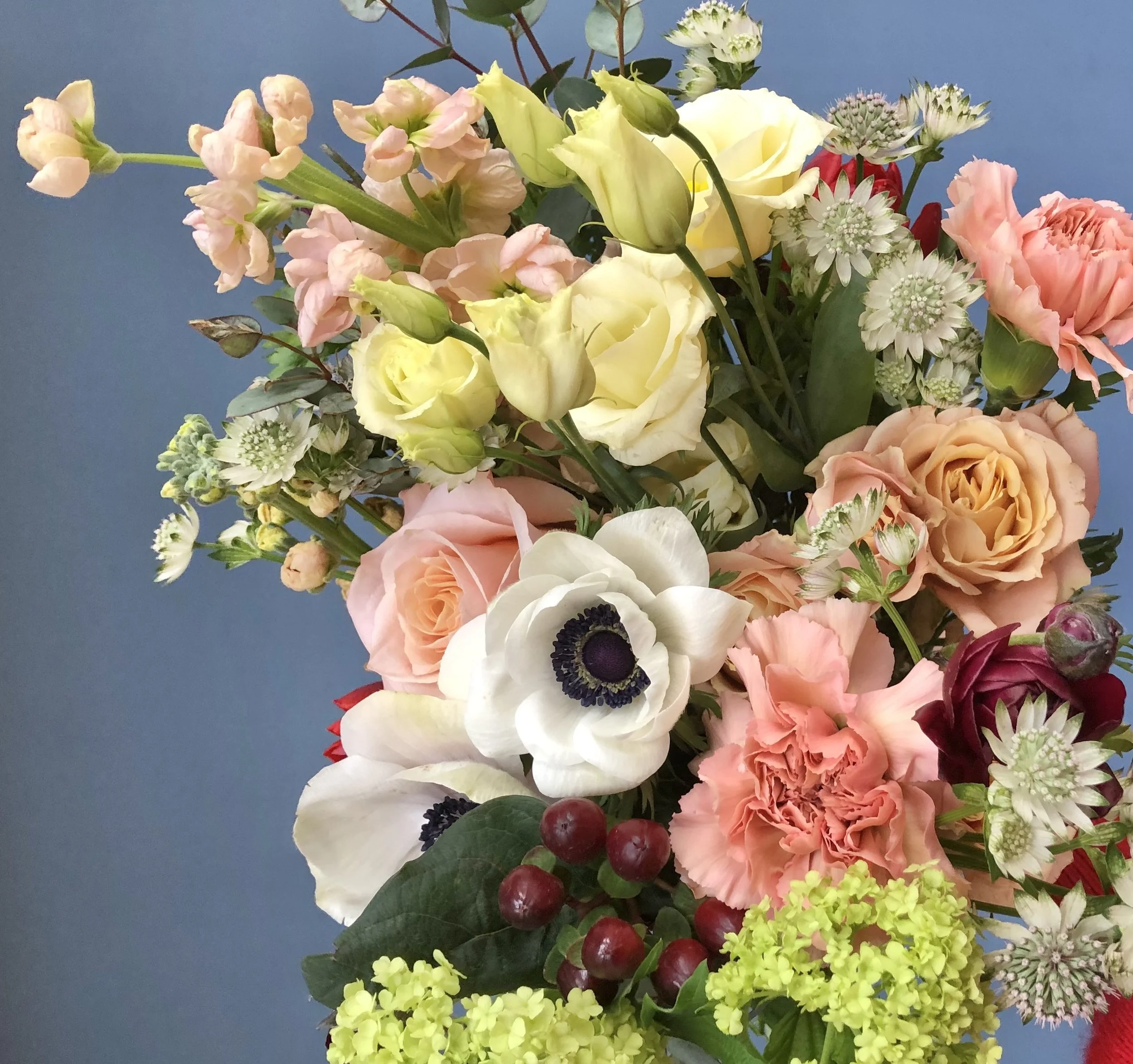 IMG_9919.jpeg (Copy)