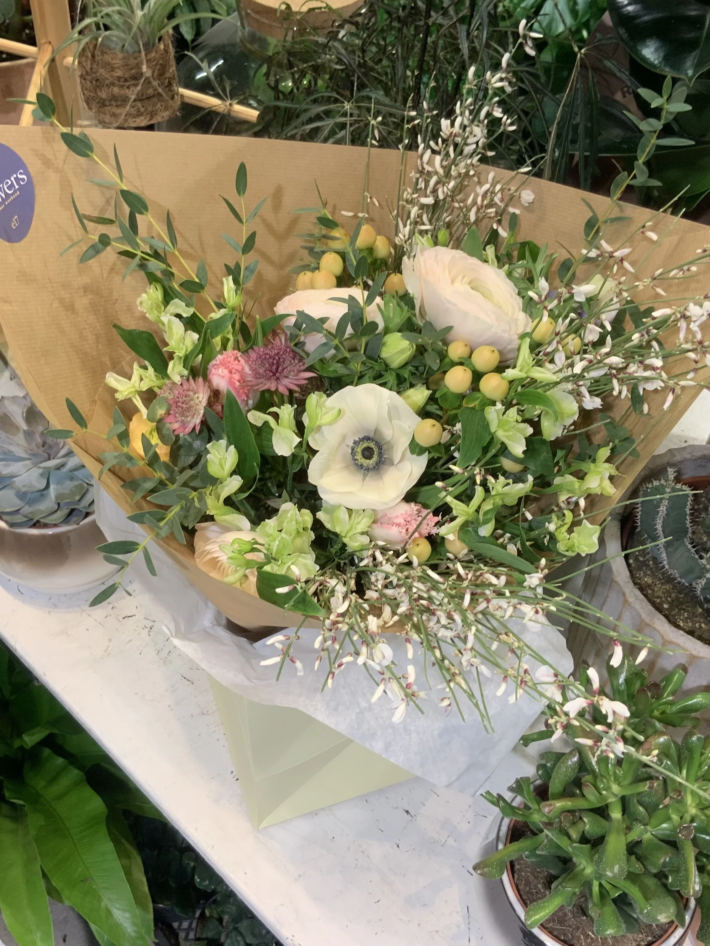 IMG_4673.jpeg (Copy)