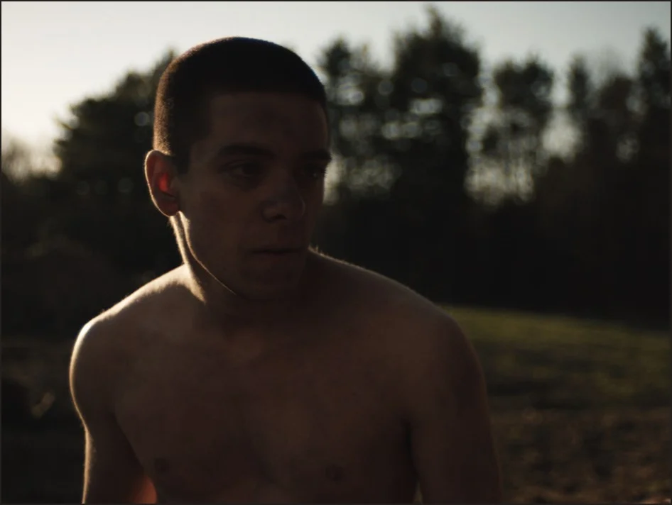 Brothers (2014)