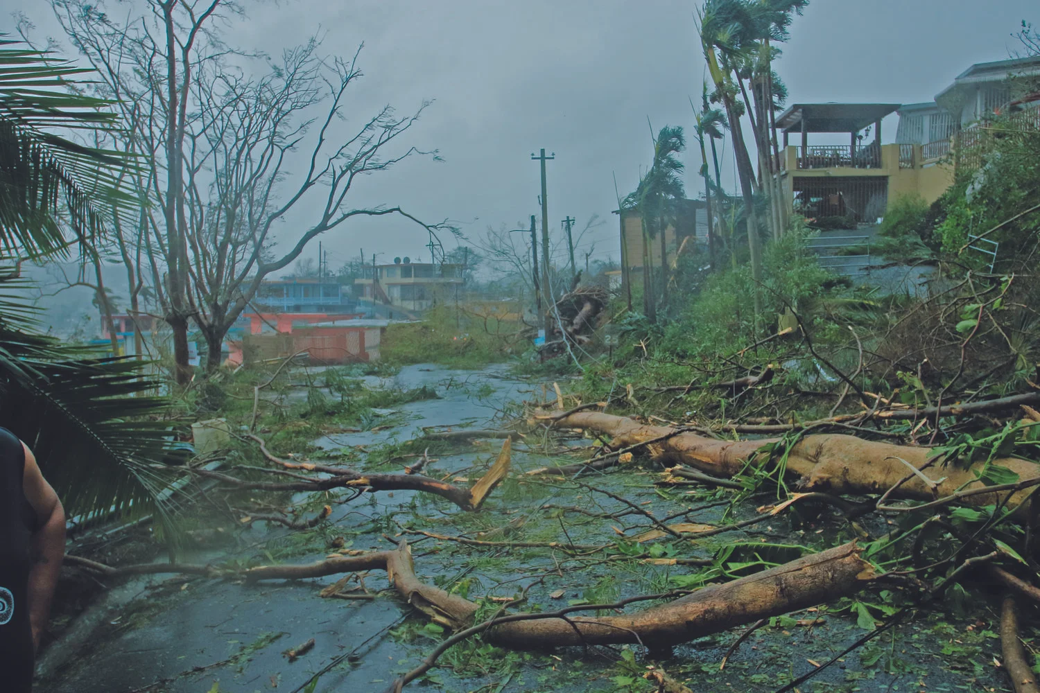 Puerto Rico will rise again