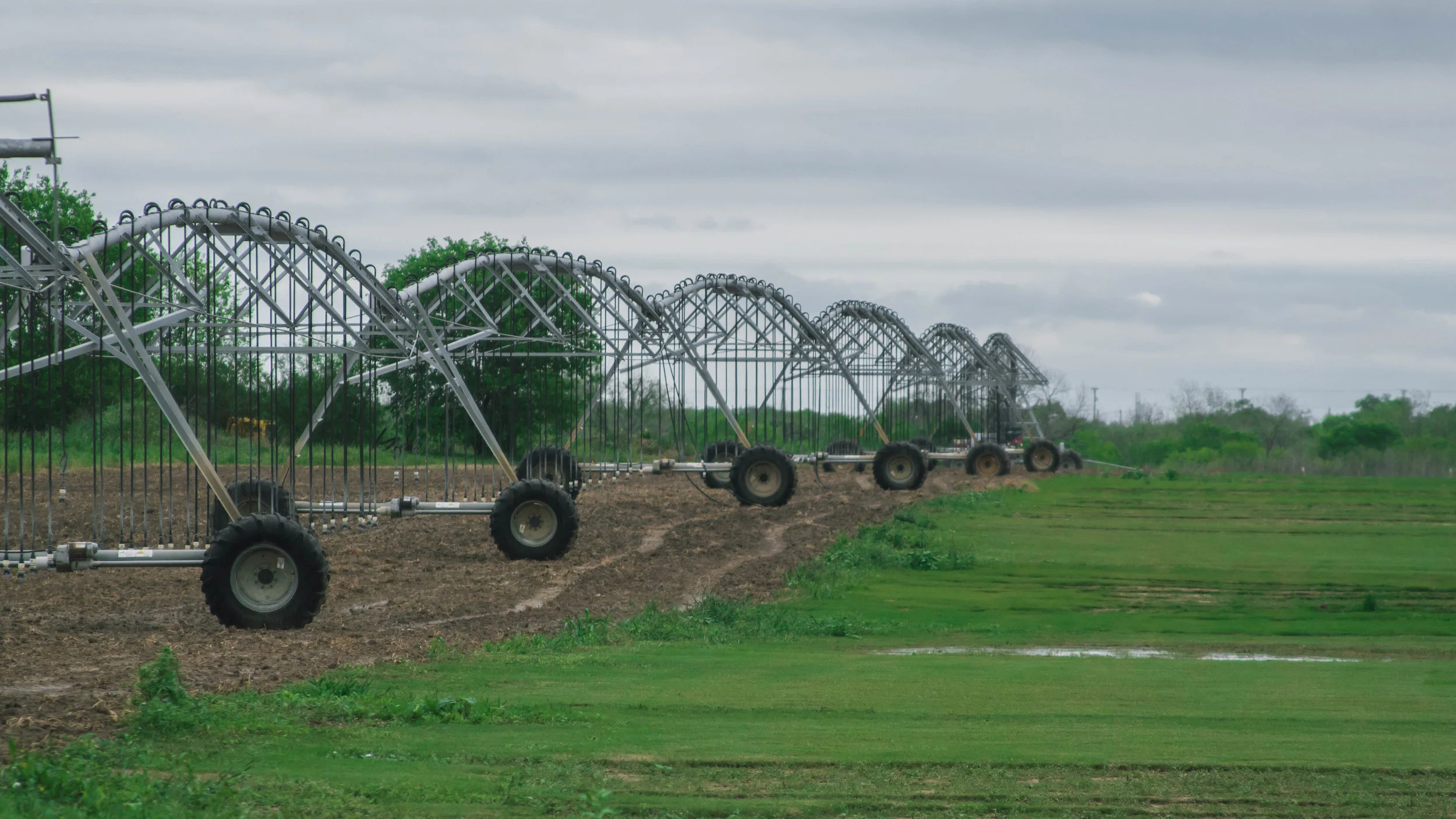 Death of the American Farmer