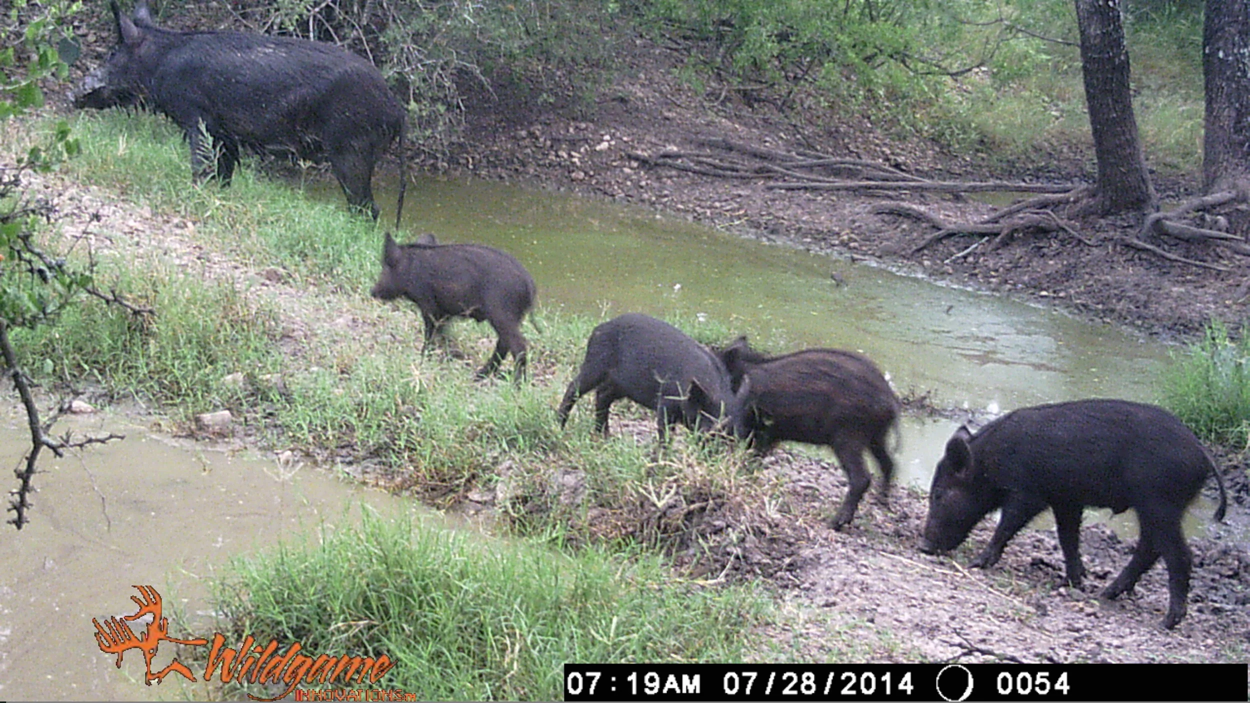 Protecting Campus Critters