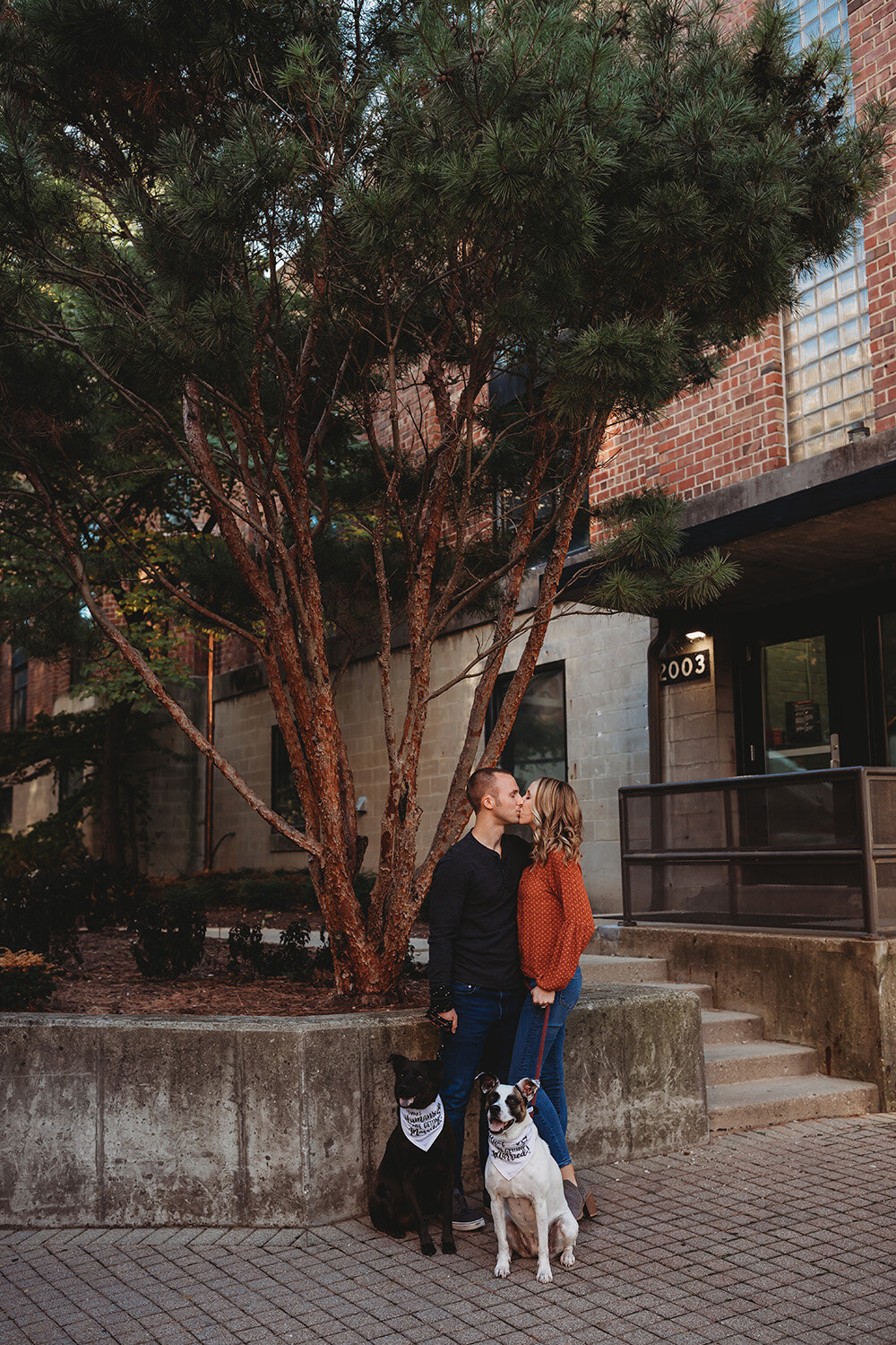 Engaged couple kissing while holding their dogs on a leash. 