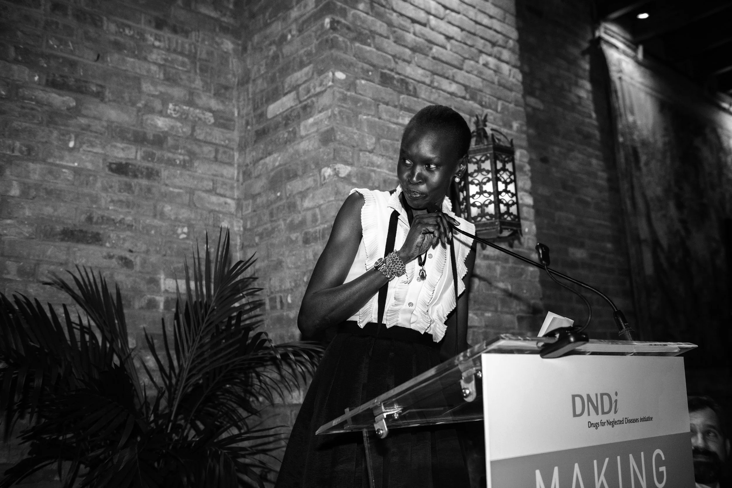 Alek Wek