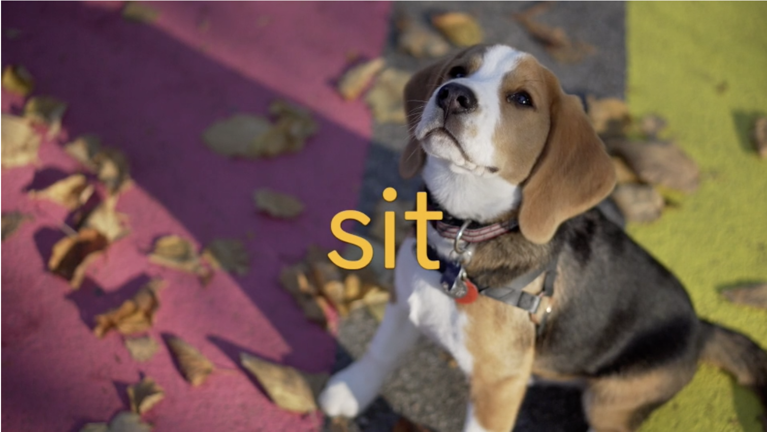 blend s - i - t sit