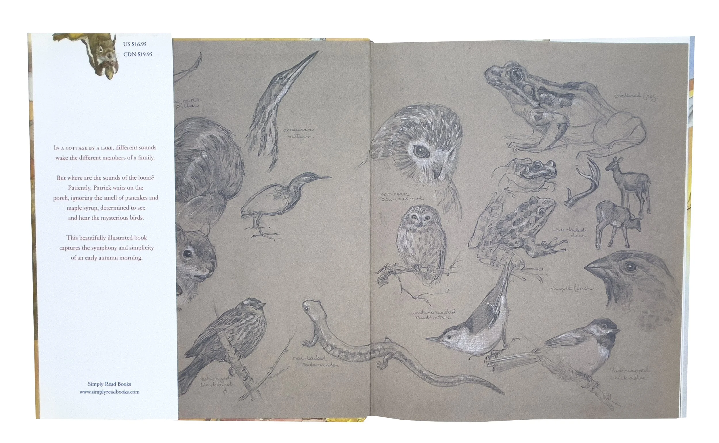 LOONS_ENDPAGES.jpg