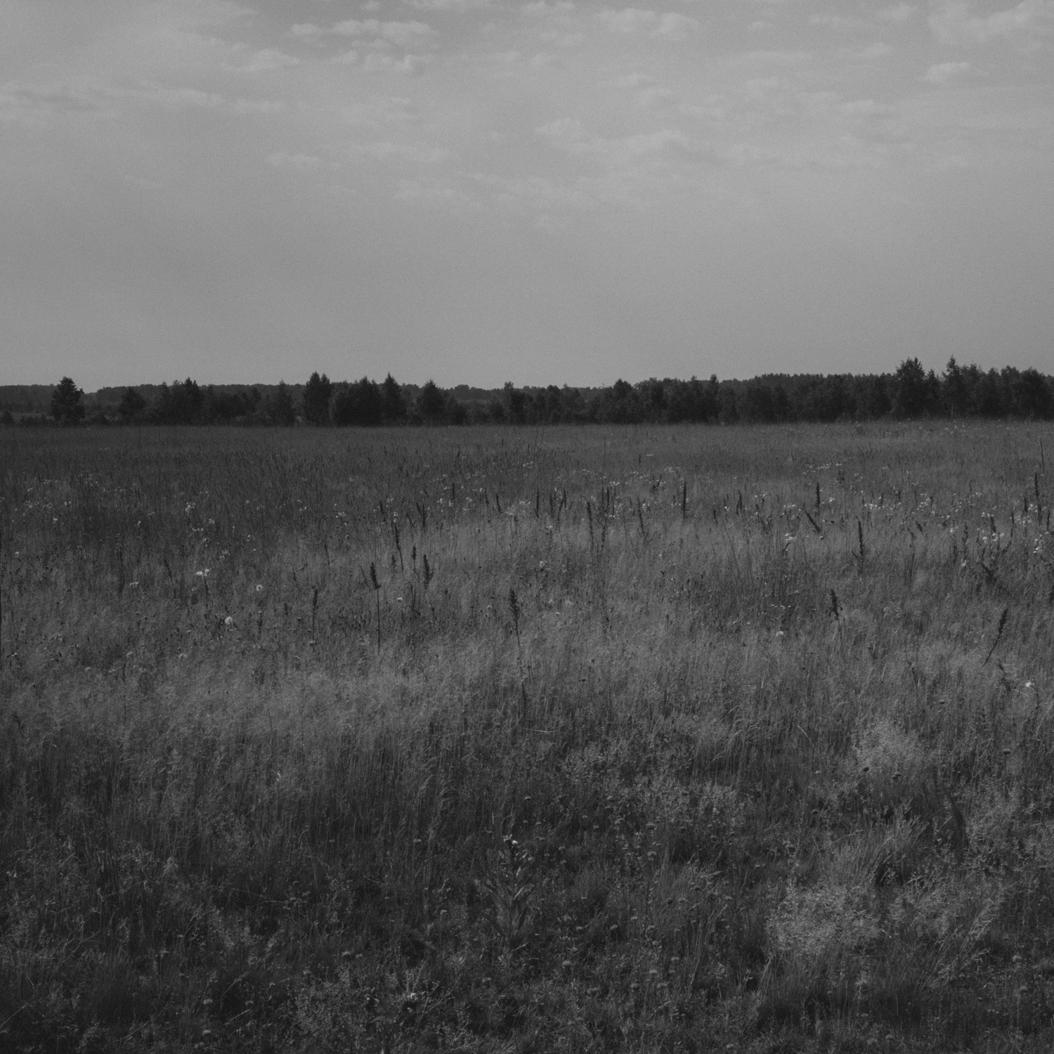  I traveled to places that do not exist. I met people without a future, living in the past. I visited many places in western Ukraine, in Volhynia. Today, there are only empty space of the former Polish villages and towns. Almost all they disappeared 