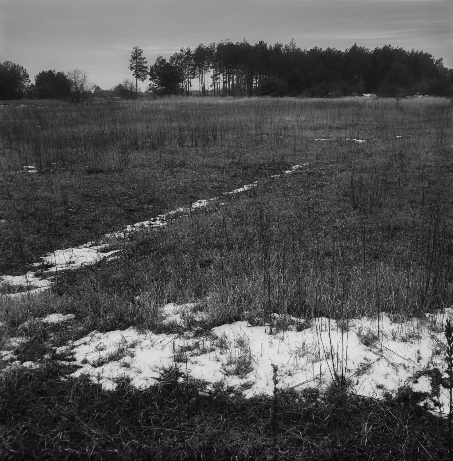 In early spring, the last snows melt along the outlines of bygone houses. White squares. House stood by house.