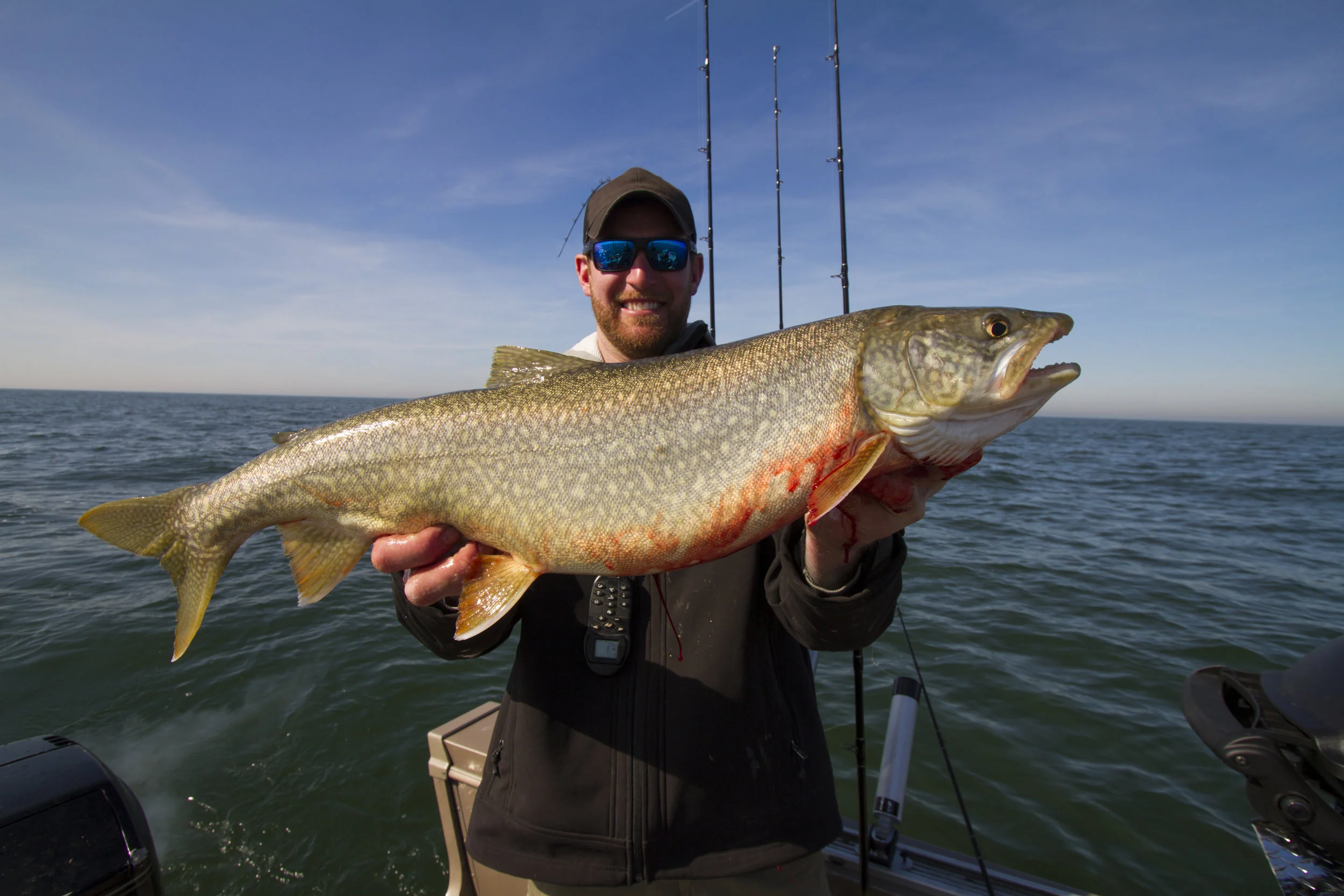 JJR_laketrout_005.JPG