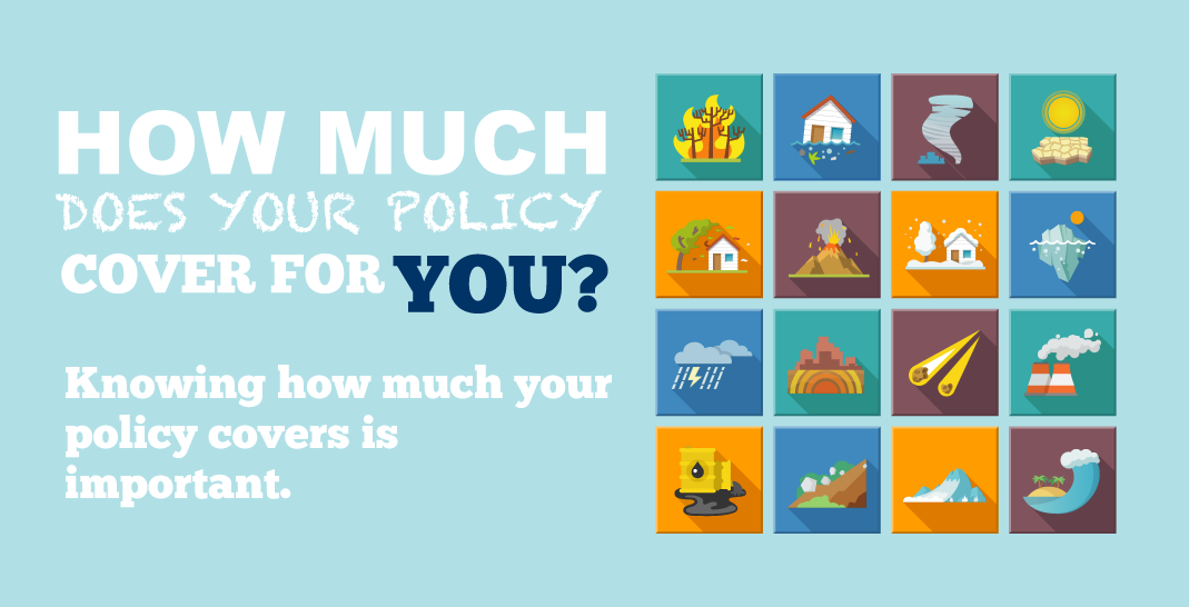 PolicyCoverage.png