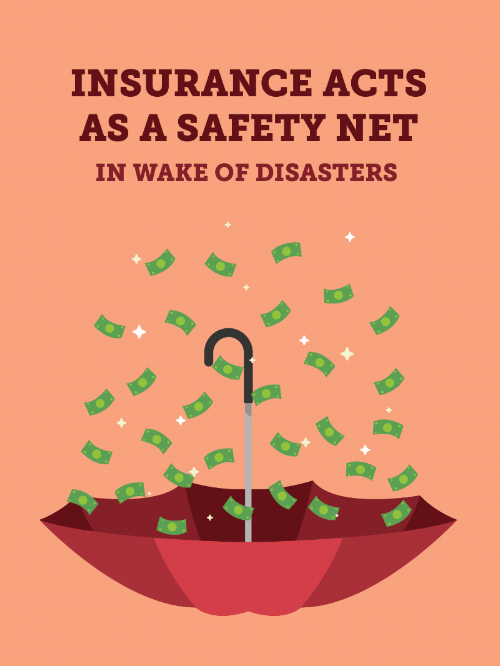 Safety_Net_Graphic-01.png