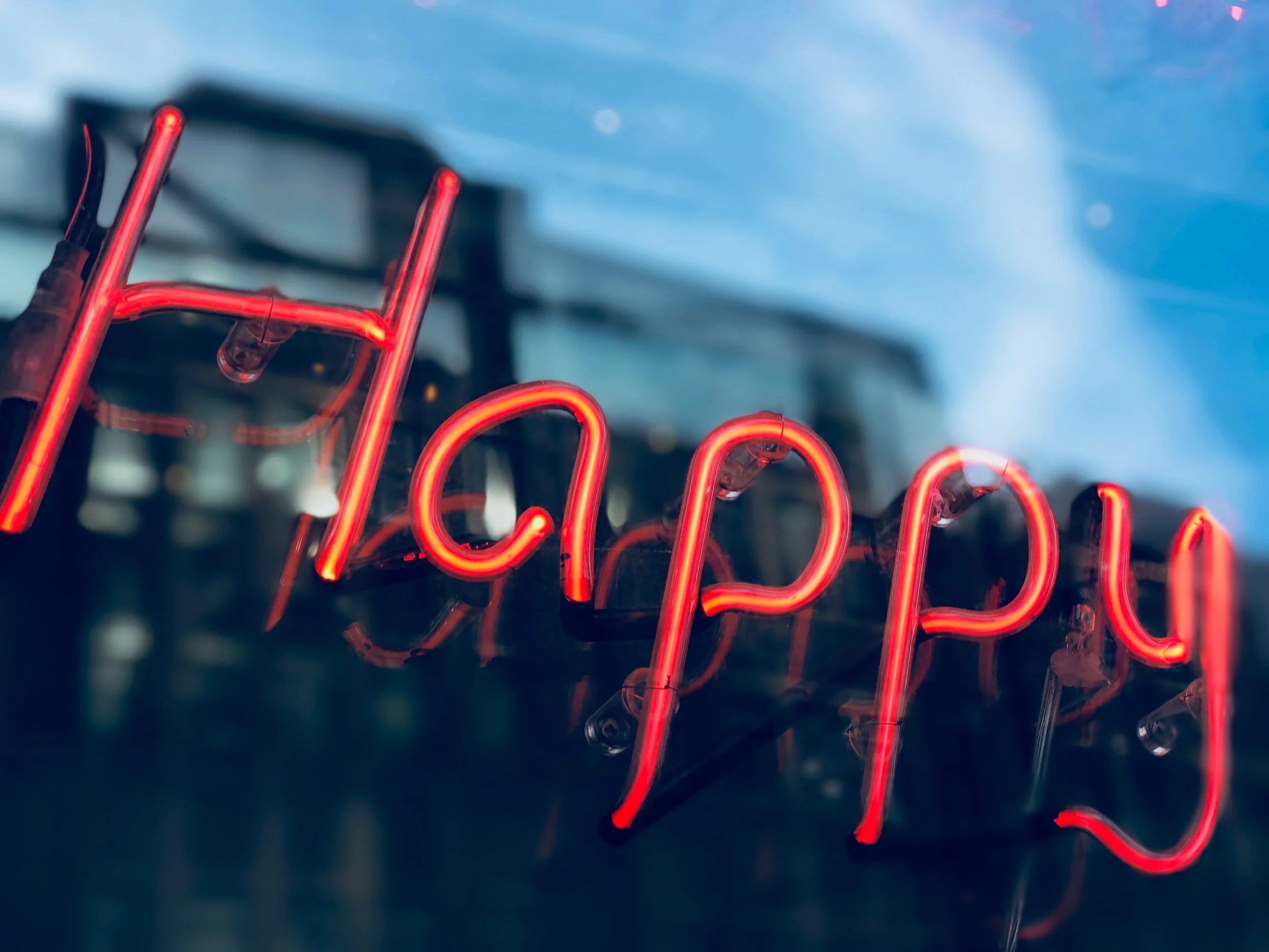 What makes a country "happy"?
