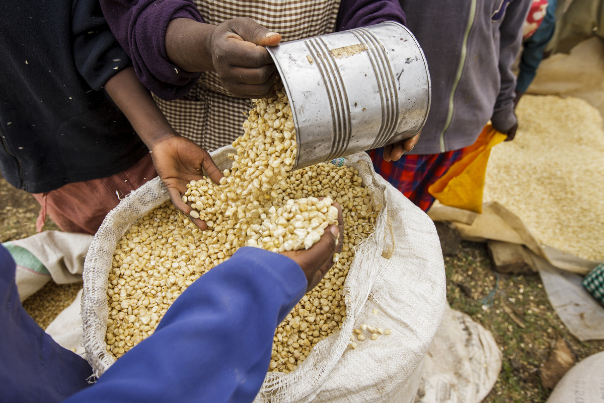 Why Should I Partner with the Private Sector? Investing in private-sector businesses can help you achieve your development goals for smallholder farmers while building the long-term capacity of individual businesses. This section explains the importance of these partnerships. Read more .