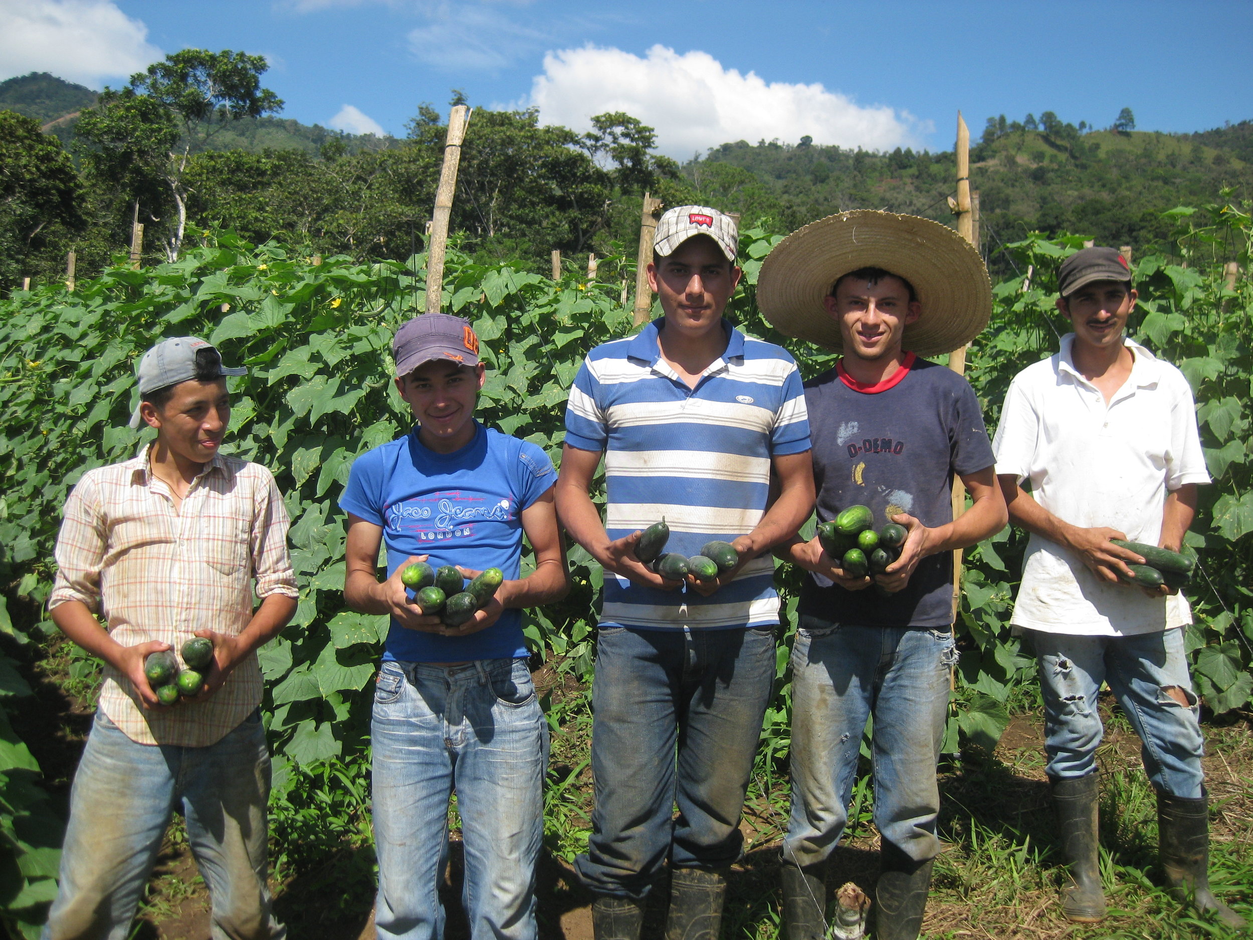 What Skills Do I Need to Partner with the Private Sector? This section provides an overview of how facilitation, negotiation, relationship building, and acceleration services can help you maintain a healthy relationship with the private sector. Read more .
