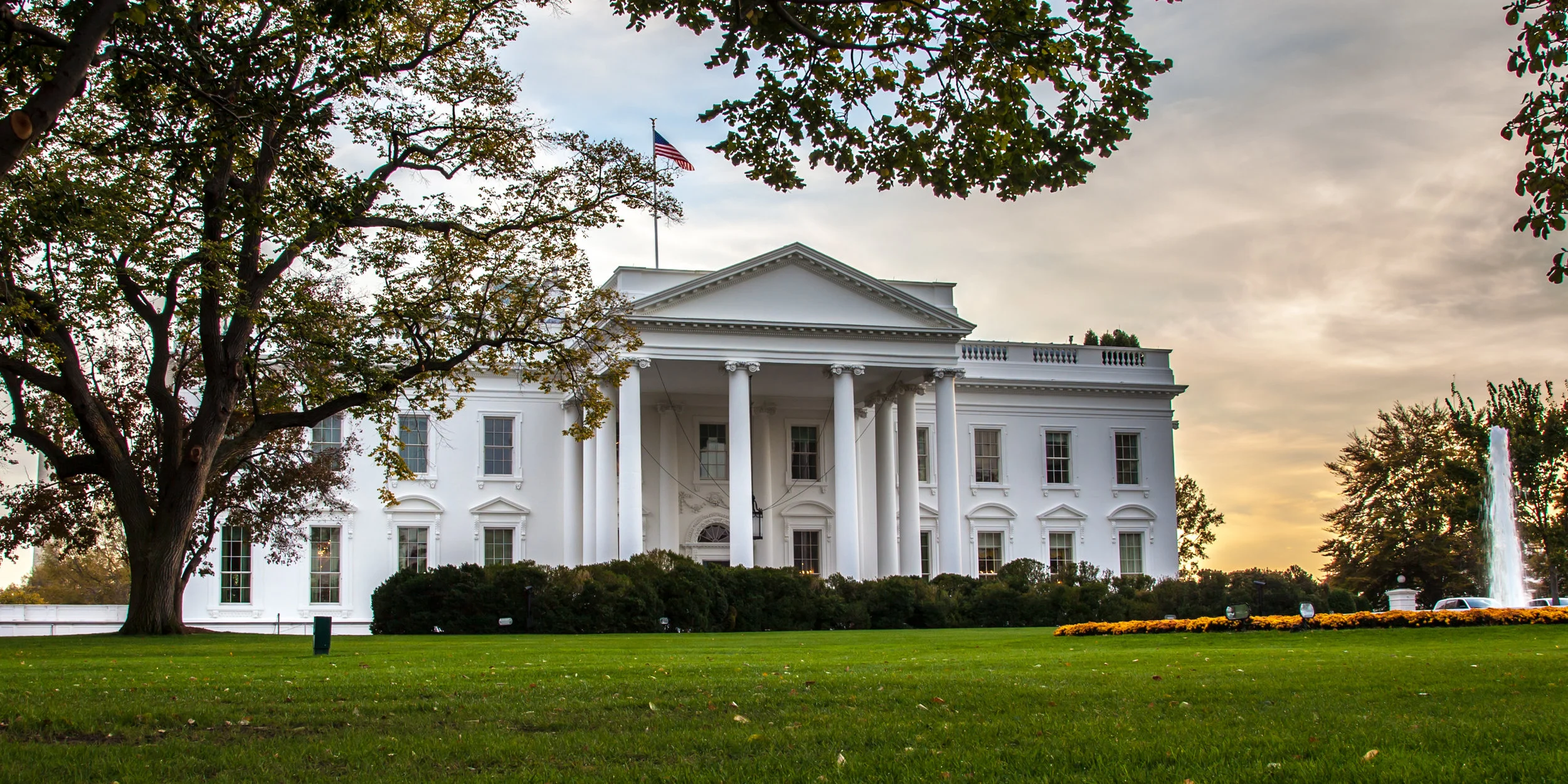 Using Institutions Against Democracy