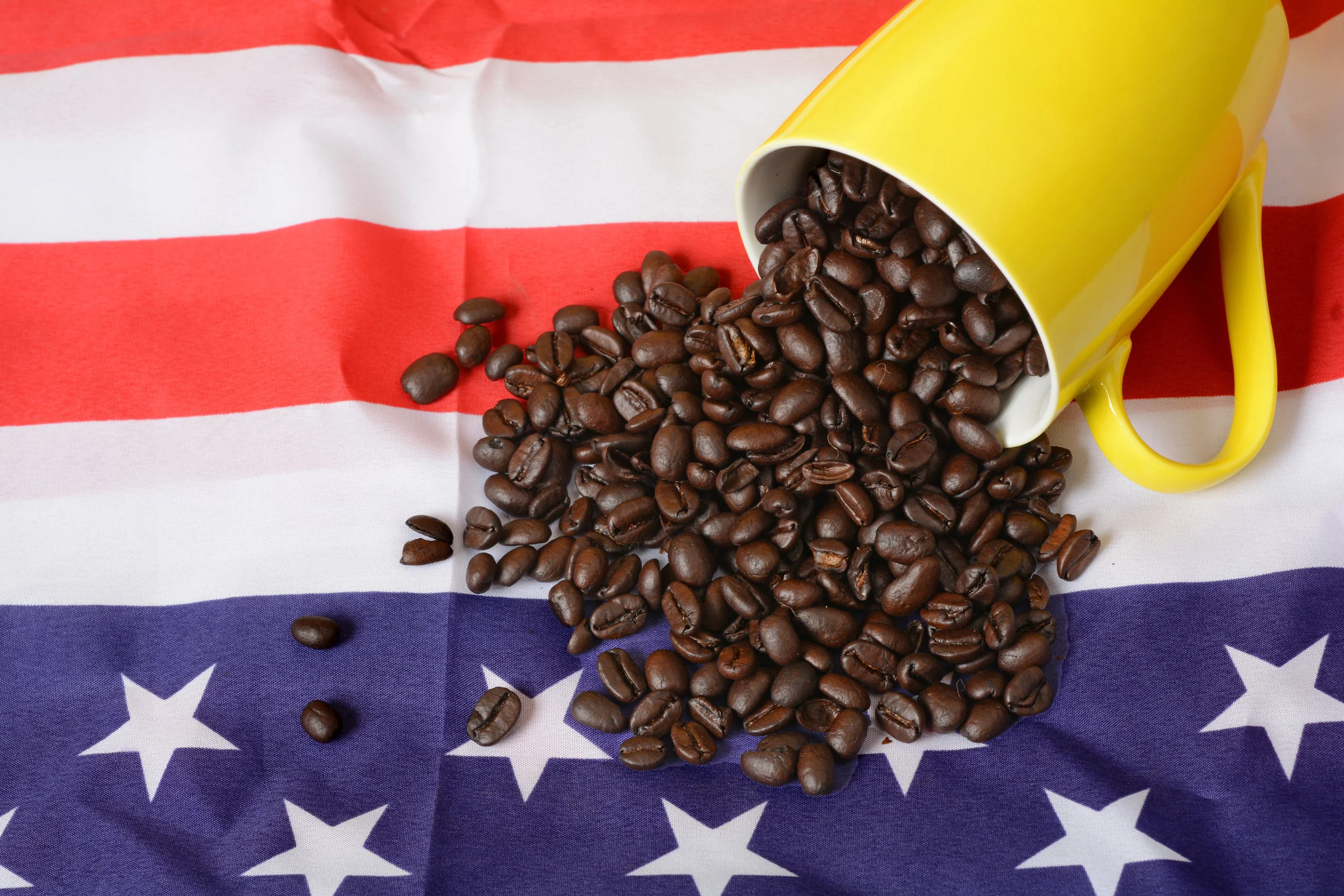 Independent Schultz Needs to Fund Ballot Initiatives