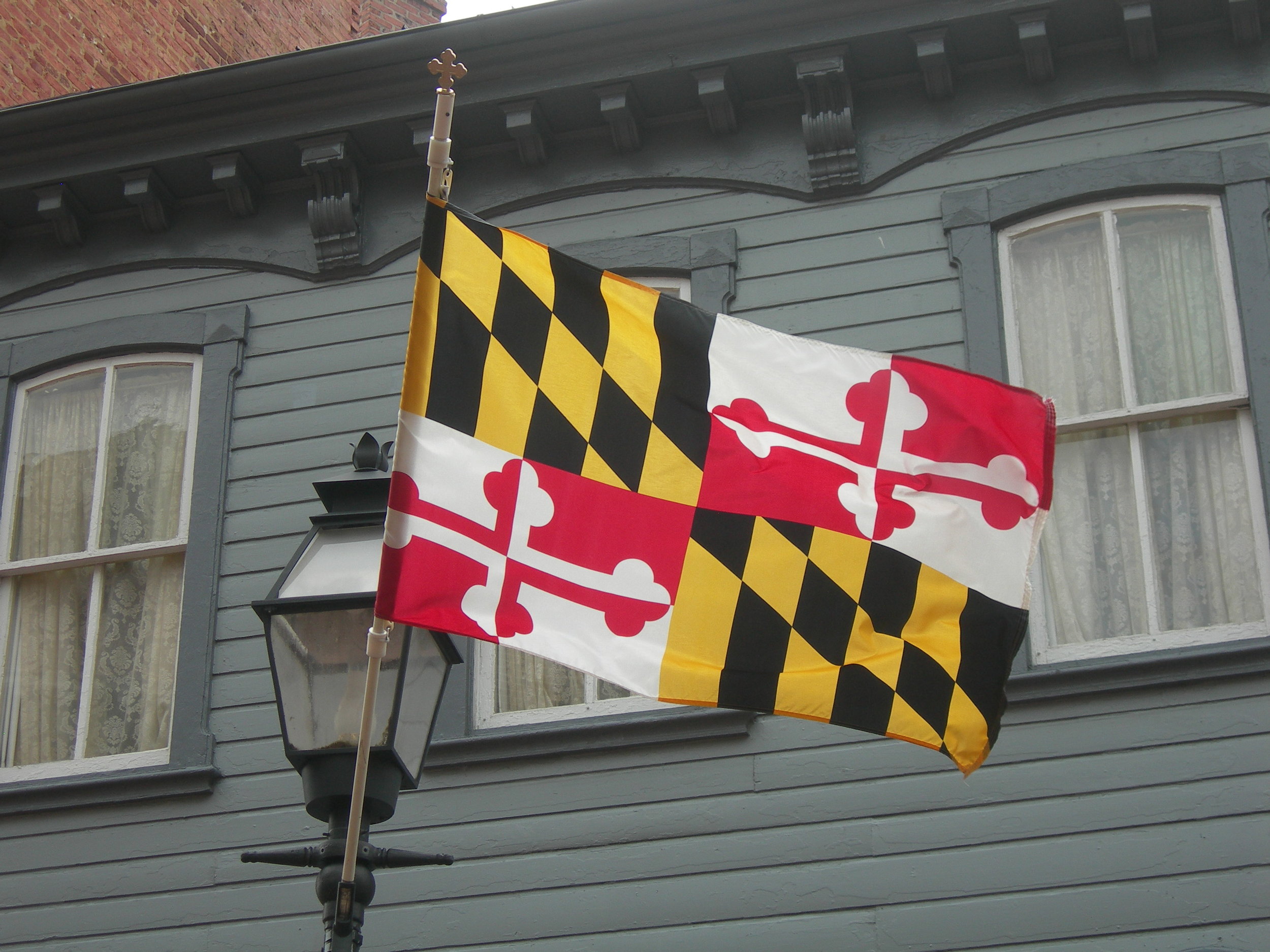 Maryland-flag.jpg