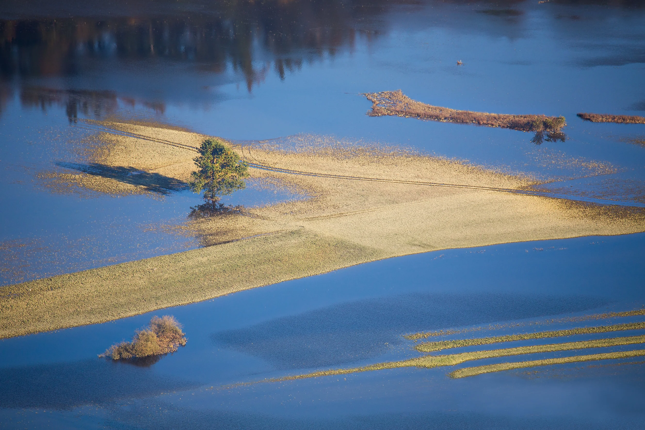 Victims of the Electoral College