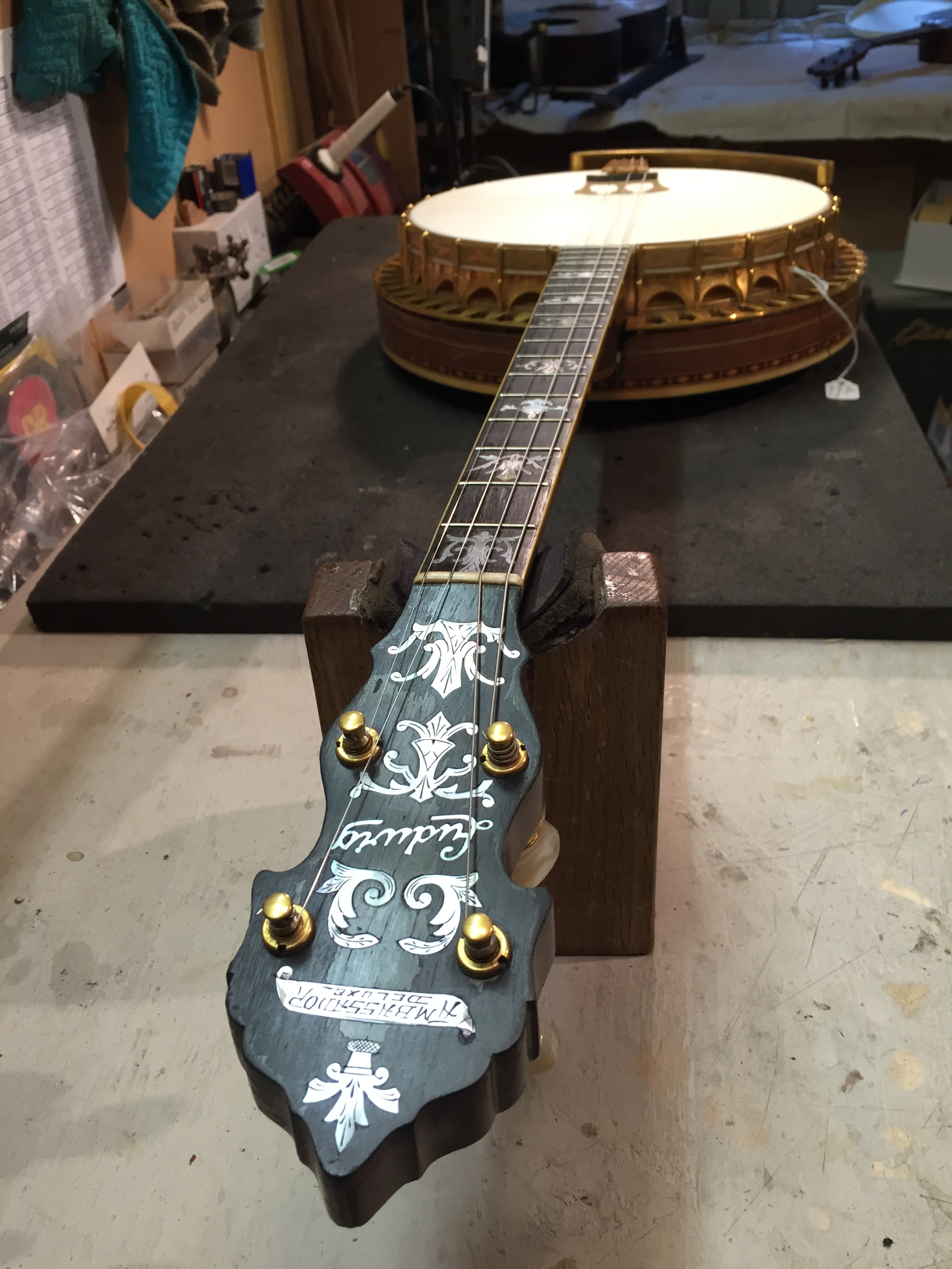 Ludwig banjo (re-skin)